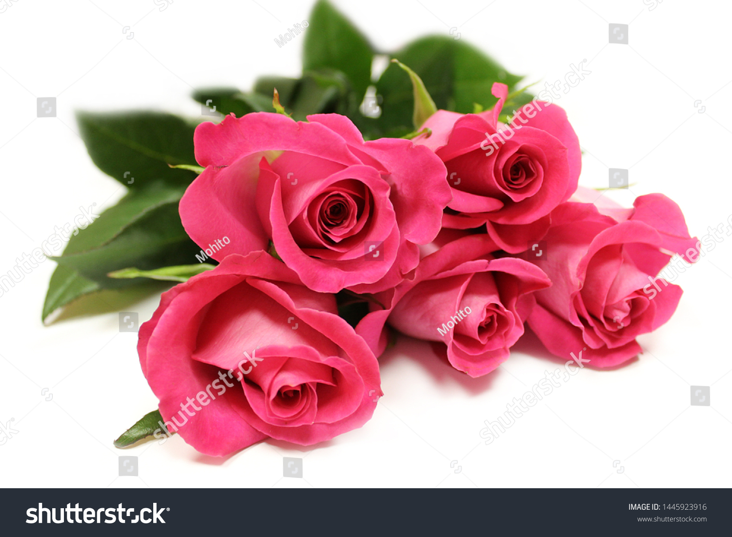 Pink Rose Flowers Arrangement Isolated On Stock Photo 1445923916 ...