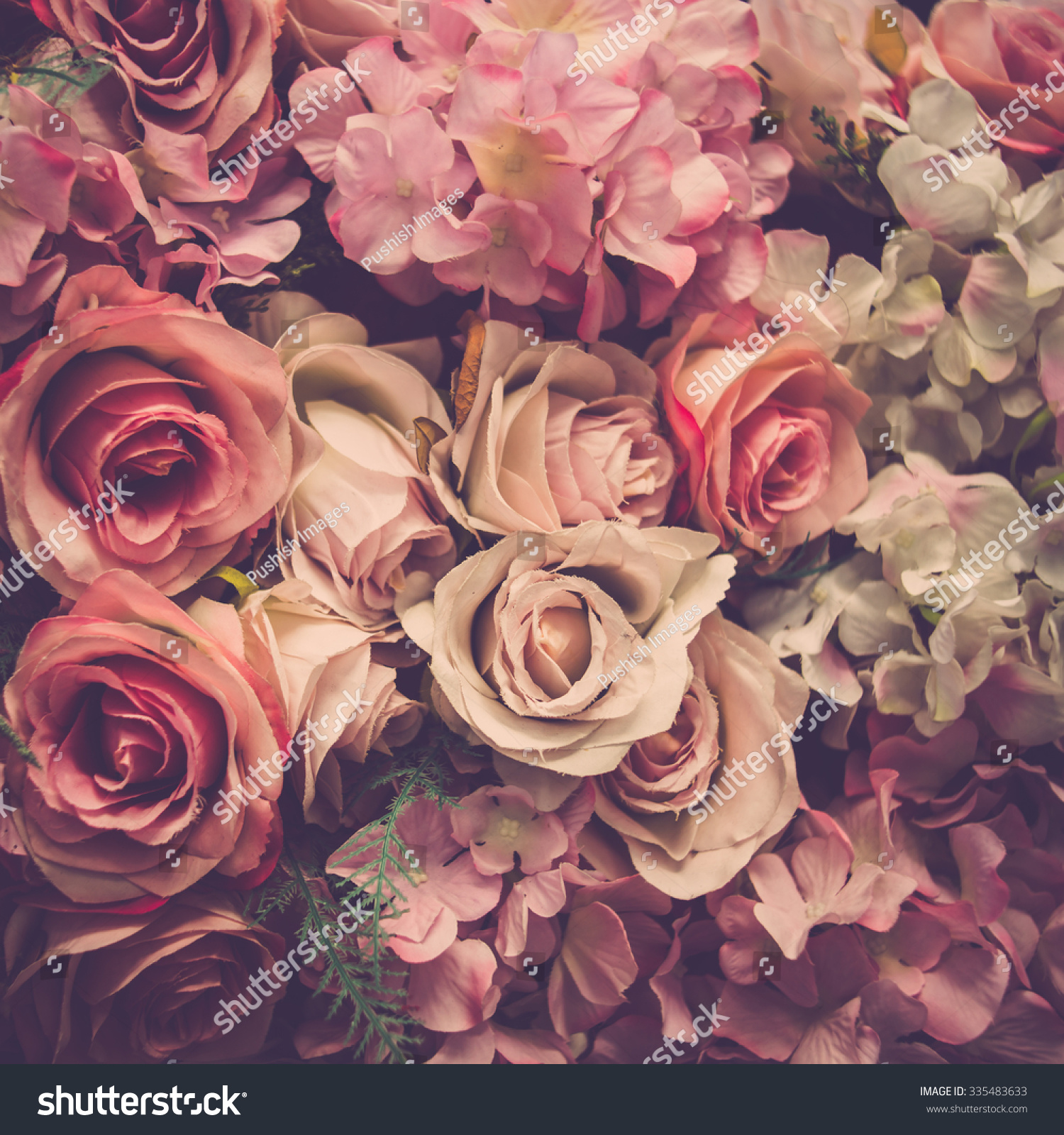 Pink Roses Background Retro Filter Stock Photo 335483633