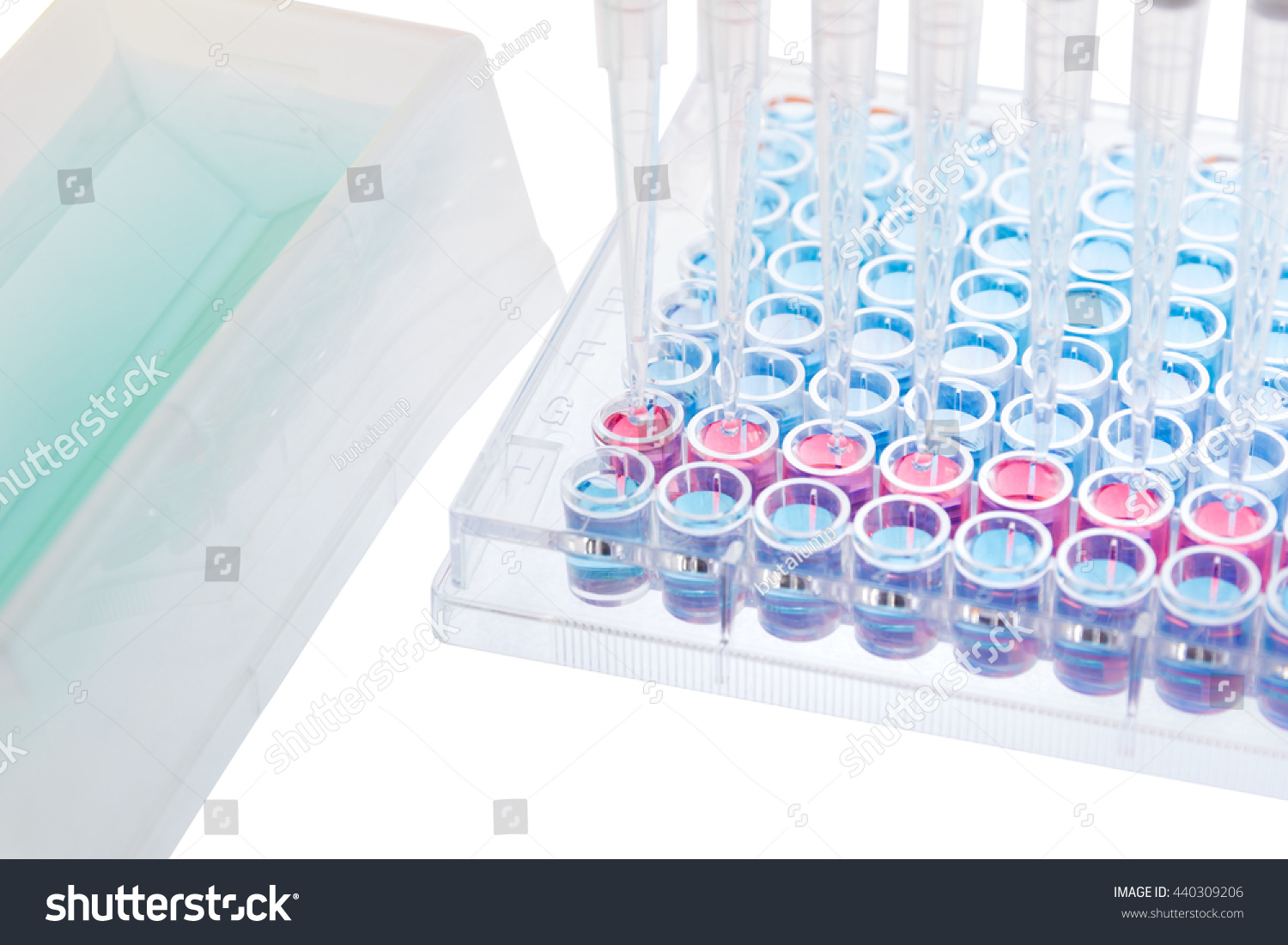 elisa assay lab report The elisa, or enzyme-linked immunosorbent assay, is an analytical biochemistry technique that uses antibodies to detect the presence of specific. elisa assay lab report The elisa, or enzyme-linked immunosorbent assay, is an analytical biochemistry technique that uses antibodies to detect the presence of specific.
