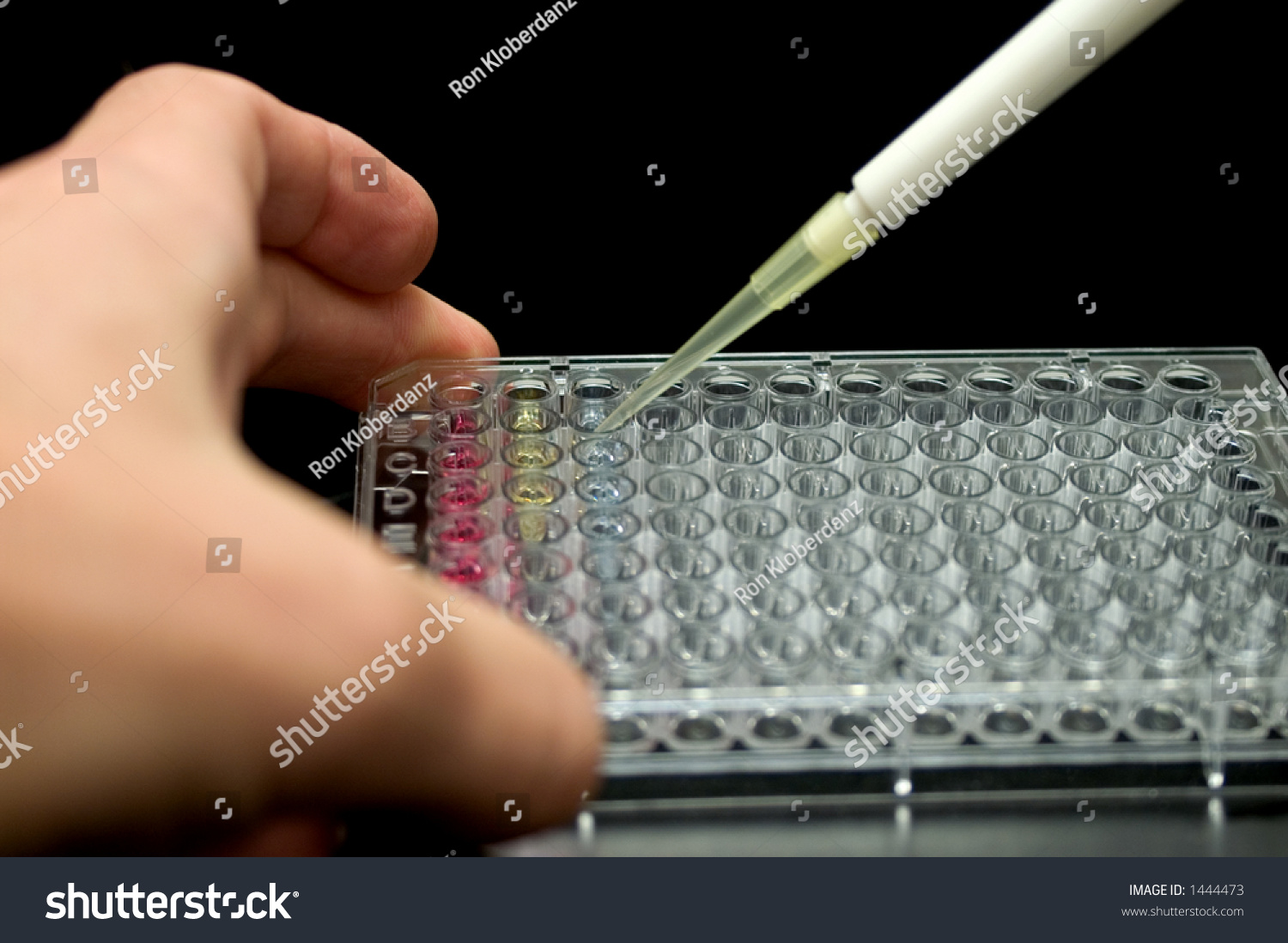 Pipetting Into 96well Sample Plate の写真素材 今すぐ編集
