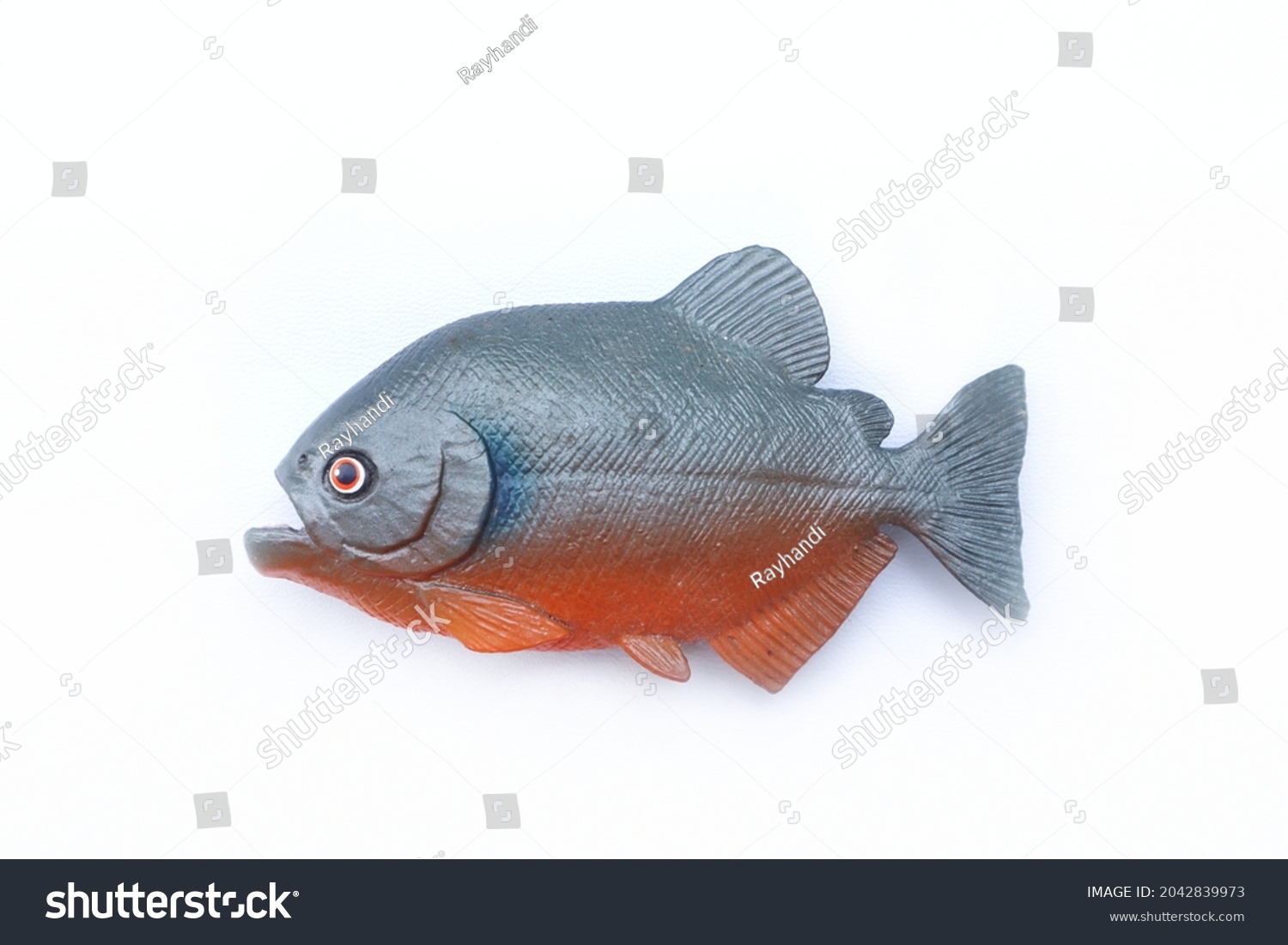 piranha fish toy