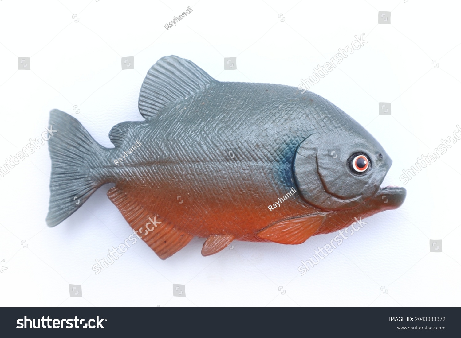 piranha fish toy