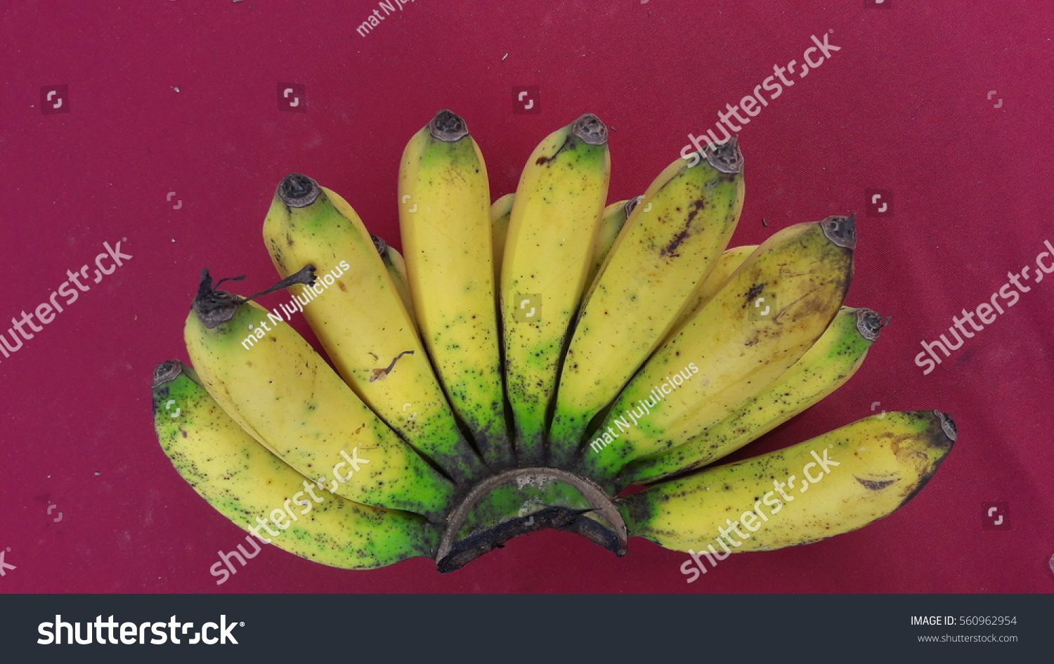 pisang berangan in english