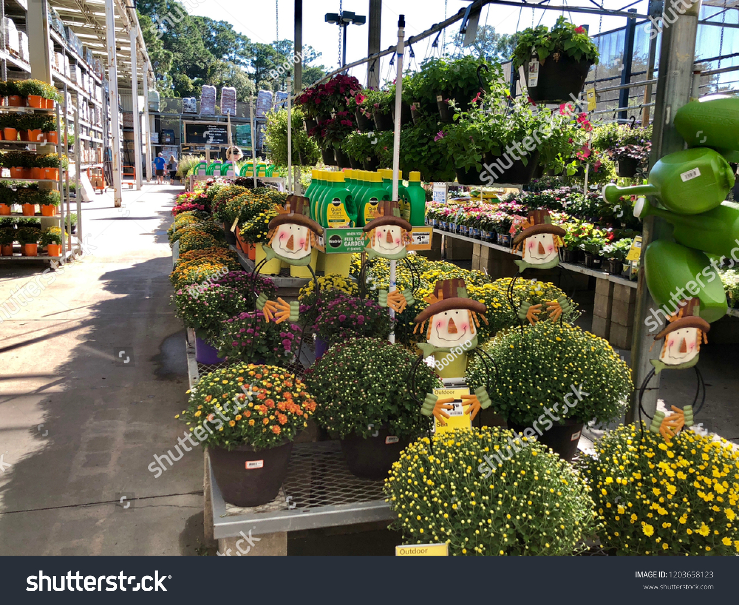 Plant Selection Home Depot Garden Center Stock Photo Edit Now 1203658123