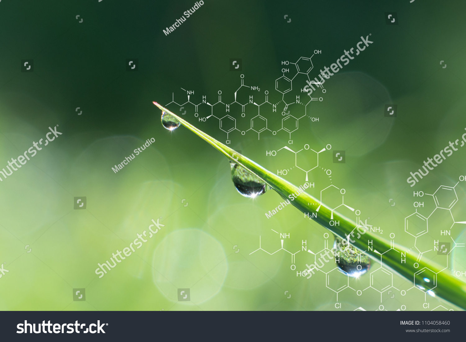 19 814 Plant Molecule Images Stock Photos Vectors Shutterstock 19 814 Plant Molecule Images Stock Photos Vectors Shutterstock