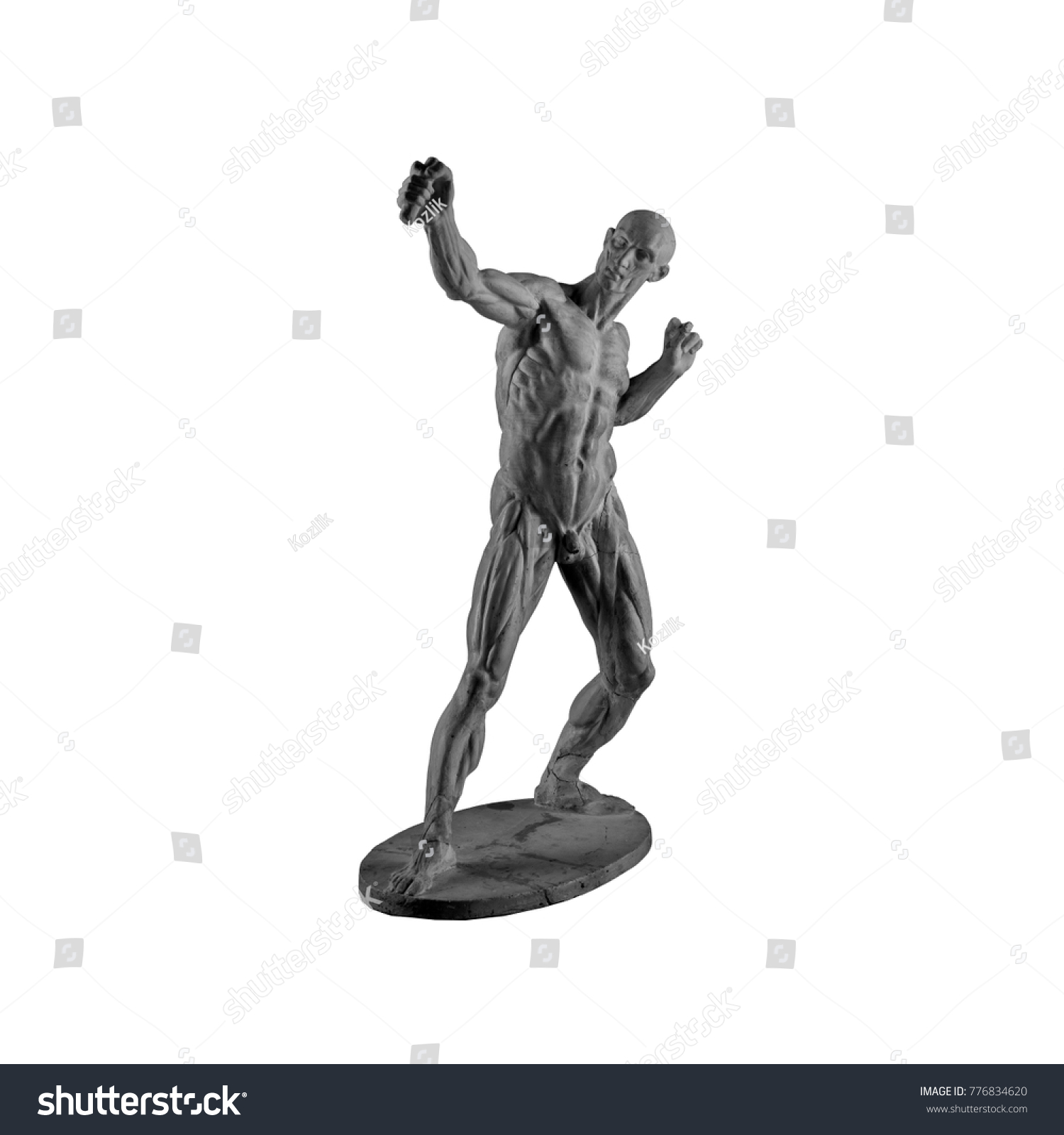 Plaster Statue Naked Anatomical Human Figure Stock Photo Shutterstock