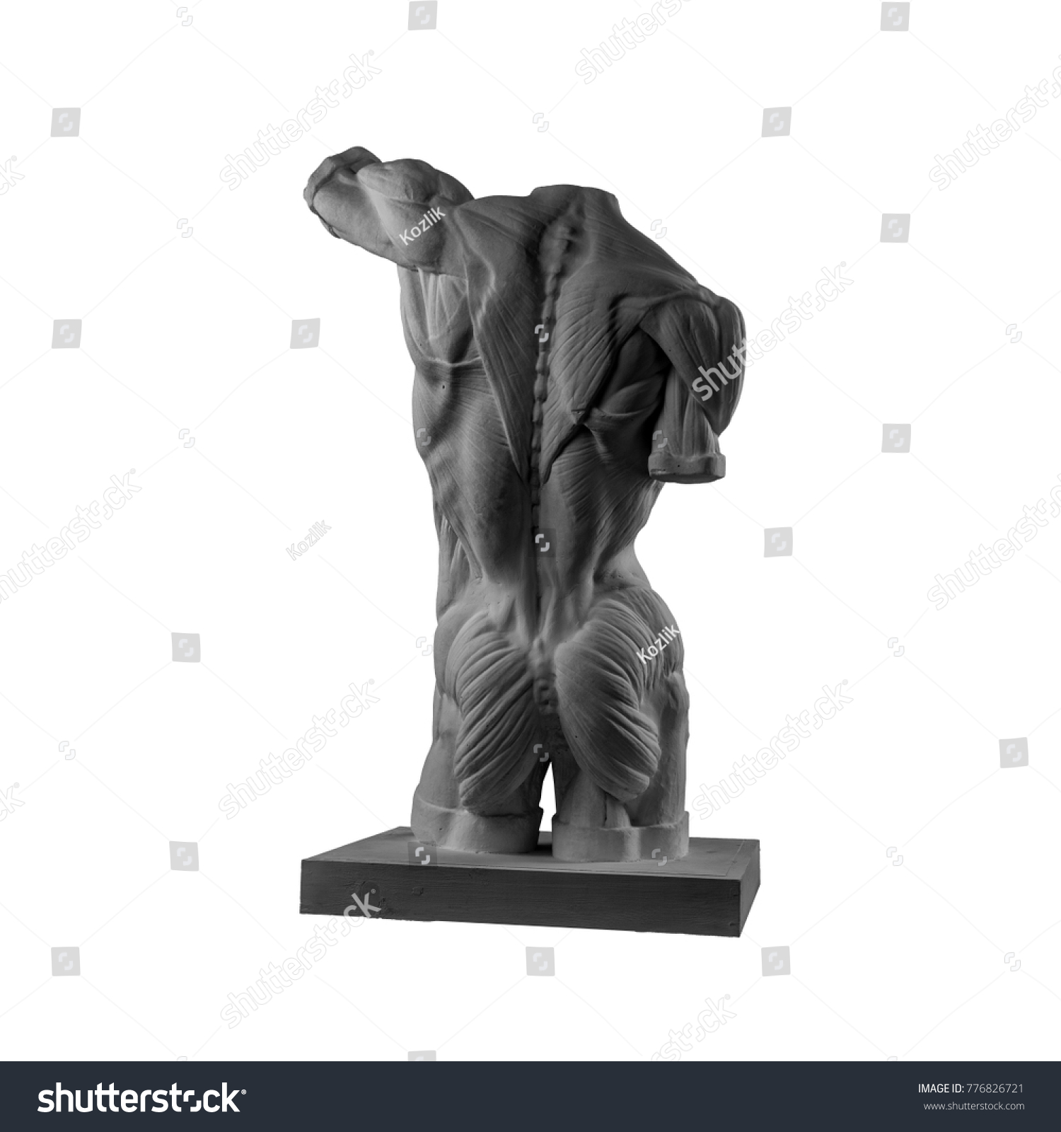 Plaster Statue Naked Man Torso Anatomical Stock Photo Shutterstock