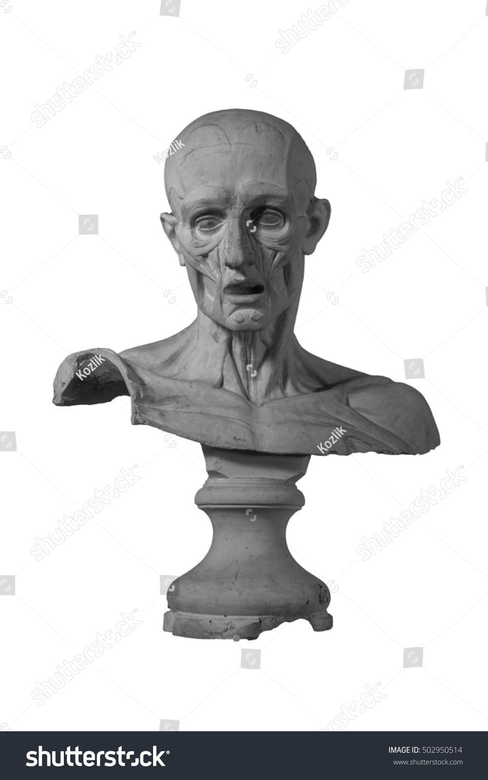 Plaster Statue Naked Man Anatomically Shaped Stock Photo Shutterstock