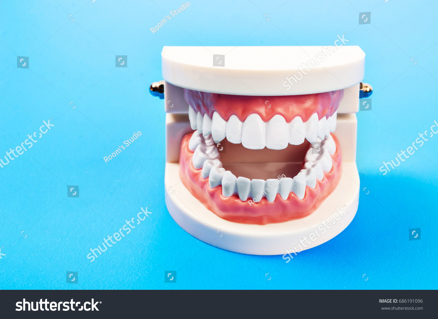 Plastic Dental Teeth Model Full Set Stock Photo Edit Now