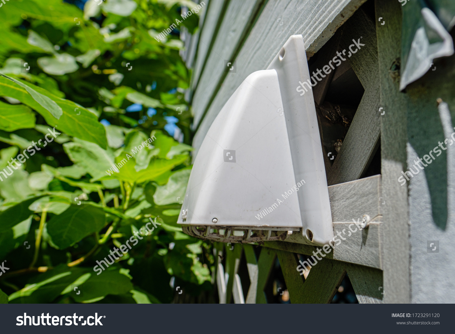 Plastic Dryer Exhaust Vent Hood On Stock Photo 1723291120 Shutterstock   Stock Photo Plastic Dryer Exhaust Vent Hood On Side Of House 1723291120 