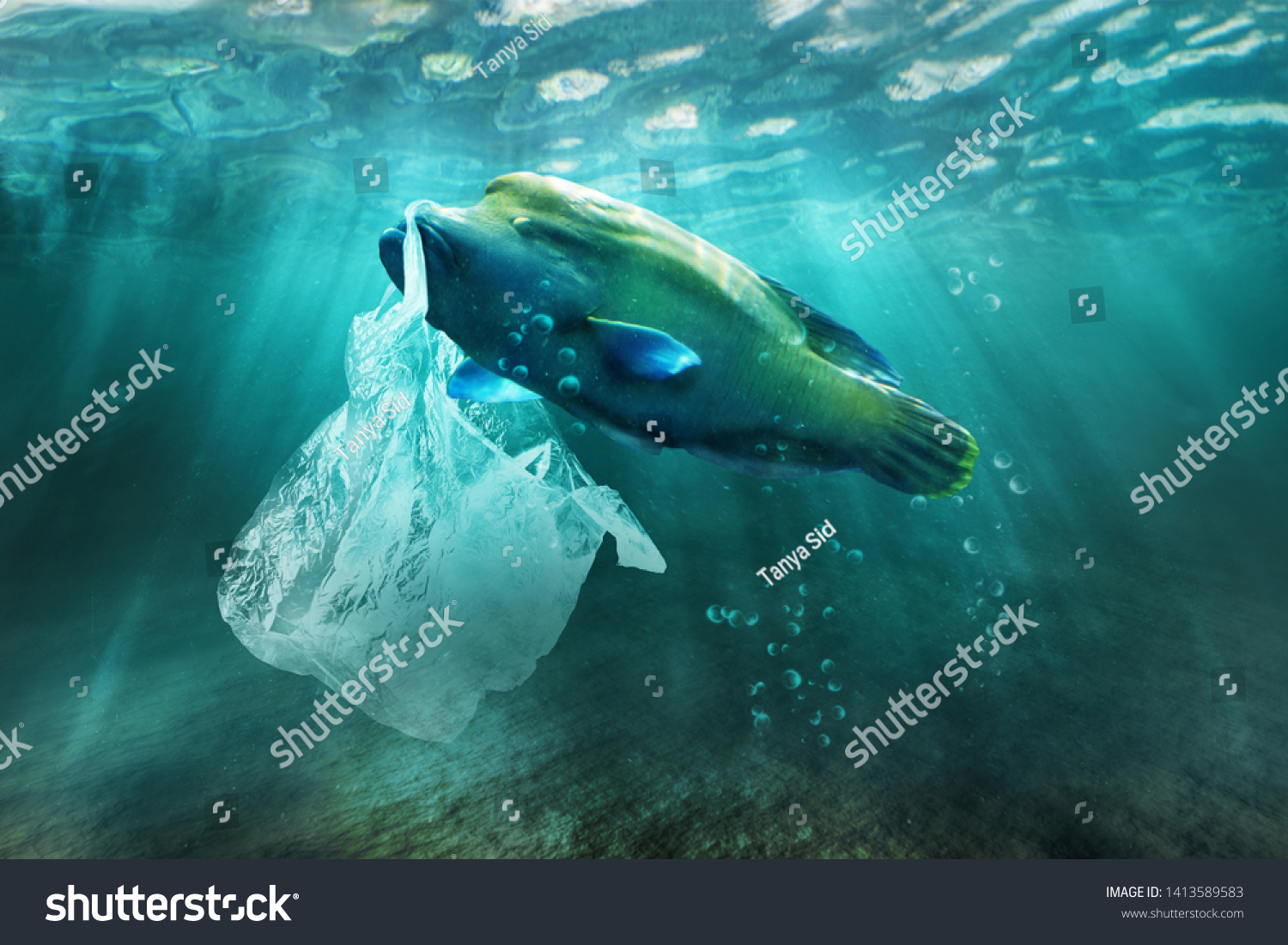 10 848 Eat plastic fish Images Stock Photos amp Vectors Shutterstock