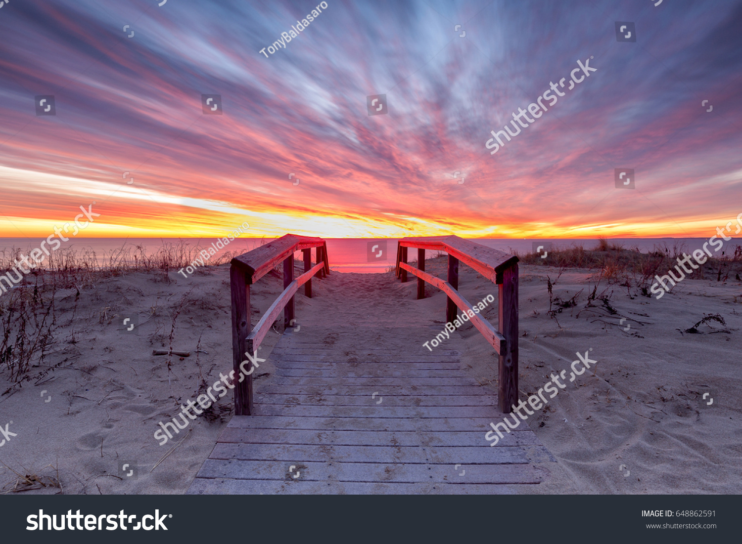 1,503 Plum island Images, Stock Photos & Vectors | Shutterstock