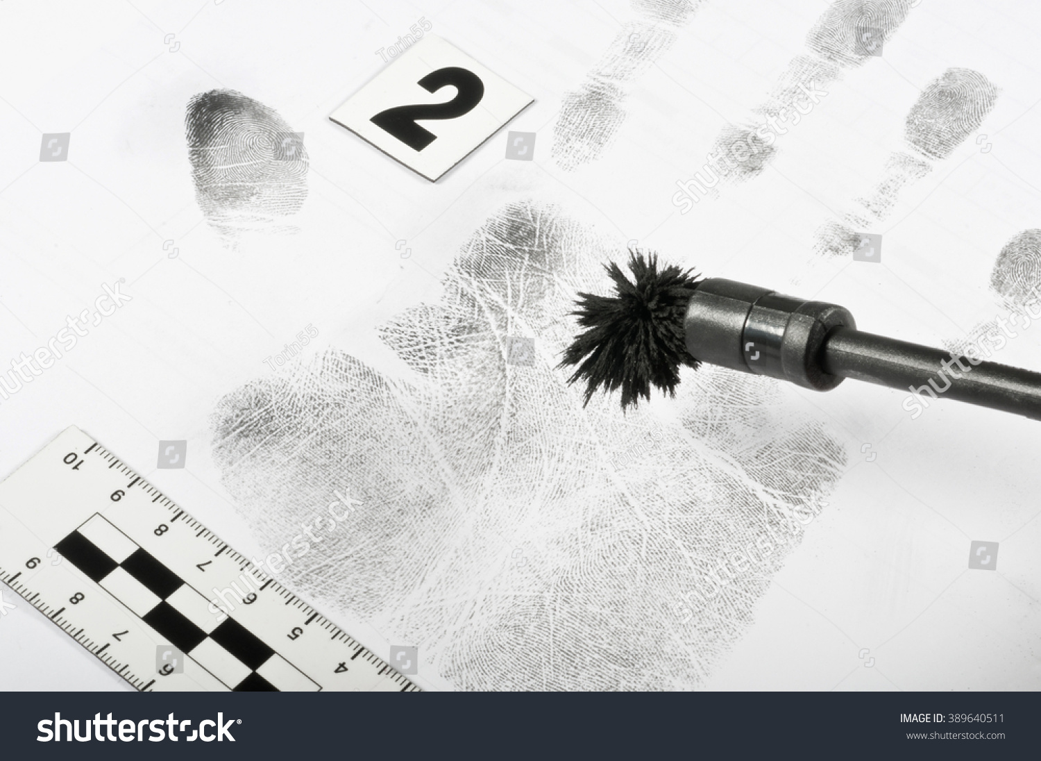 Police Fingerprints Stock Photo 389640511 Shutterstock   Stock Photo Police Fingerprints 389640511 