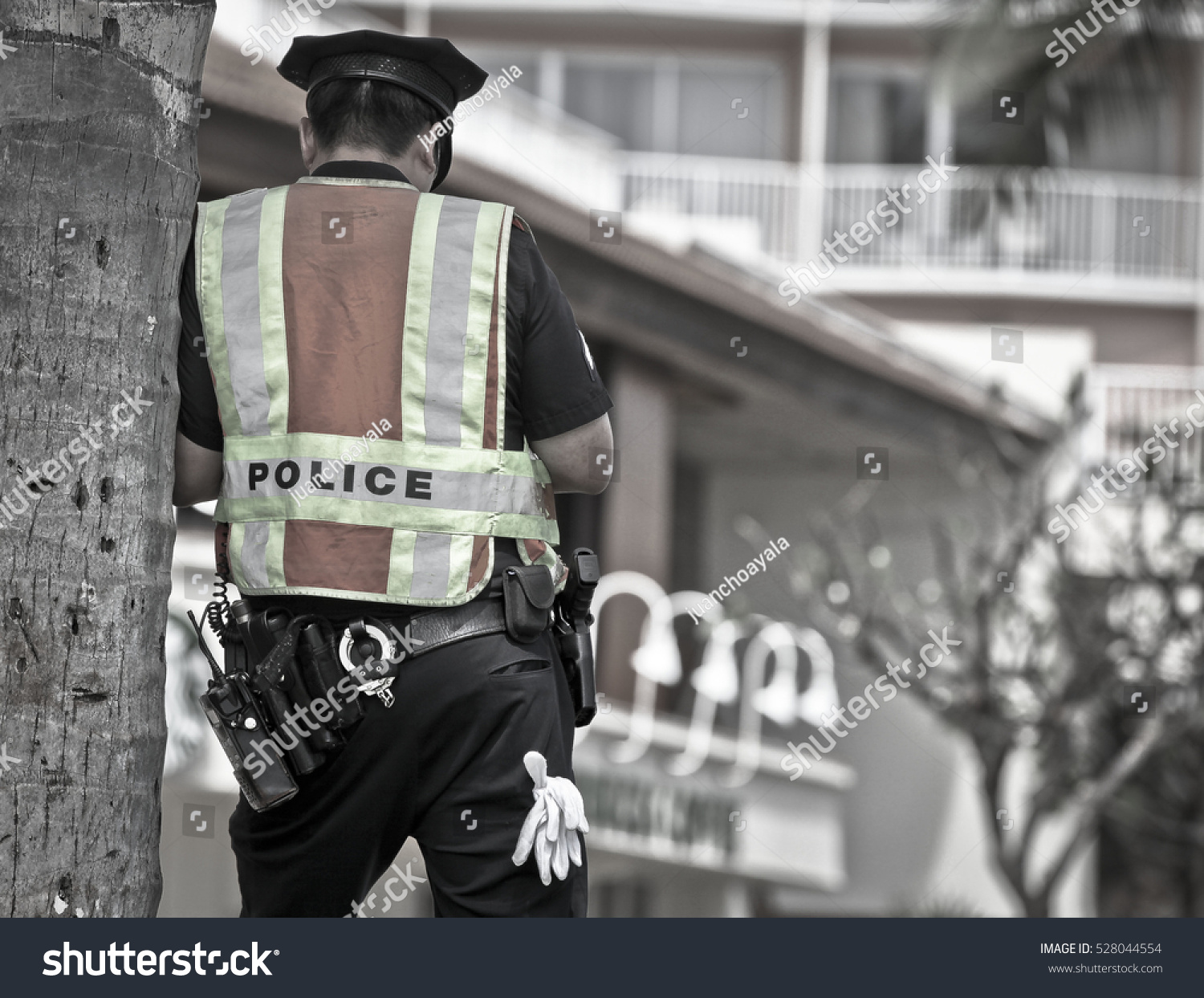 Police Officer Stock Photo 528044554 | Shutterstock