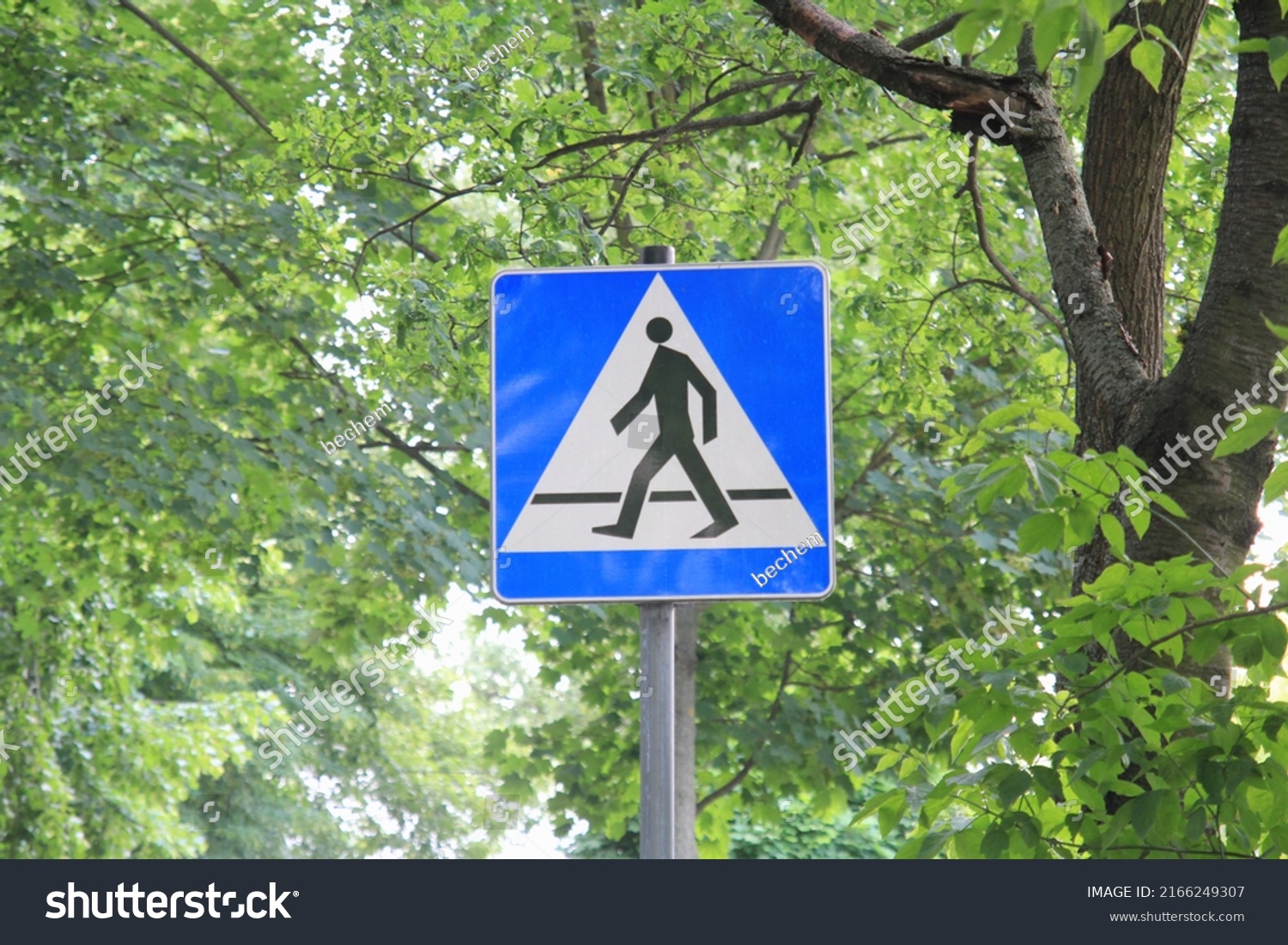 Polish Road Sign Indicating Zebra Crossing Stock Photo 2166249307 ...