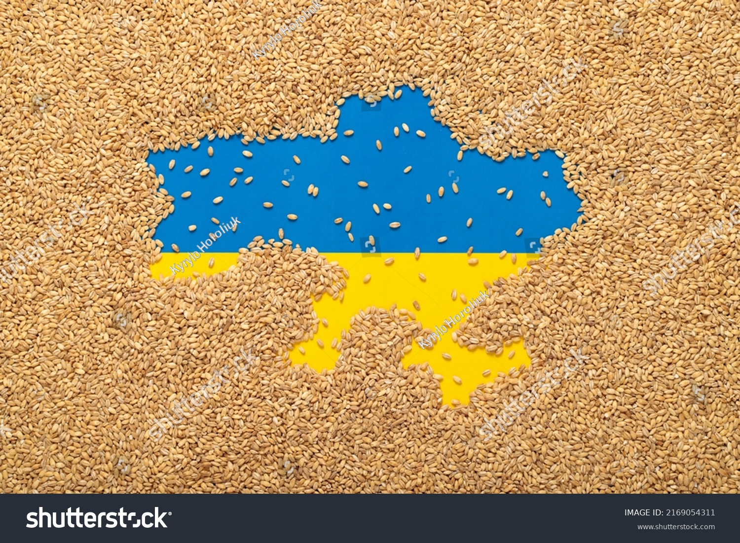 Political Map Ukraine Laid Out Grain Stock Photo 2169054311 | Shutterstock