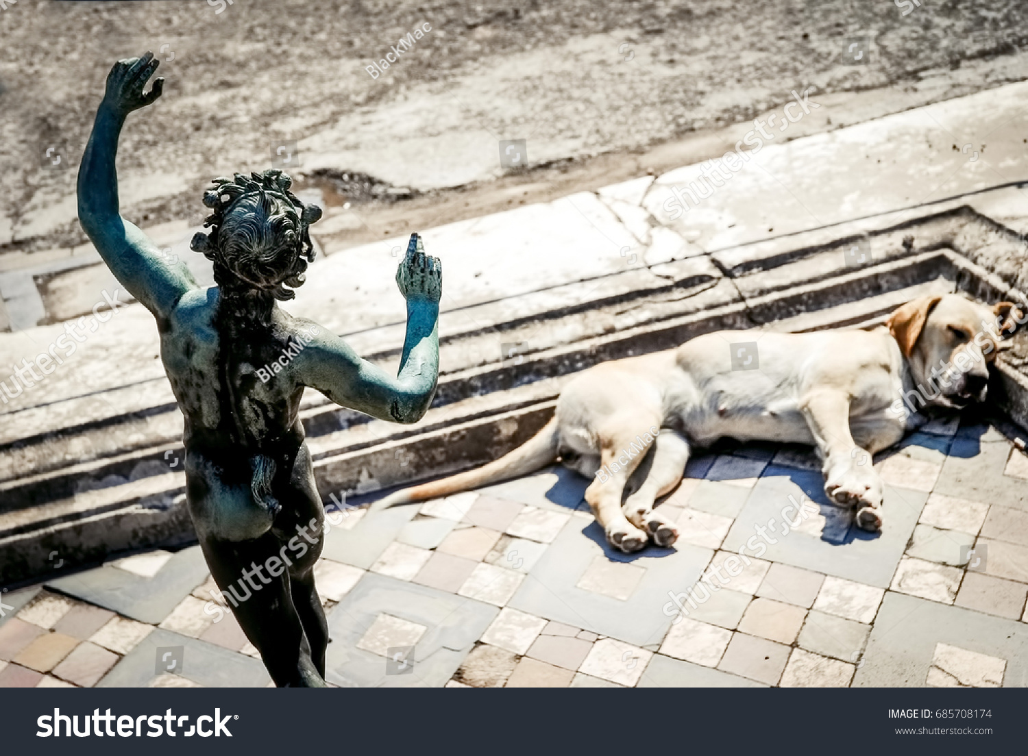 Pompeii Ruins Dog Sleeps Impluvium House Stock Photo Edit Now