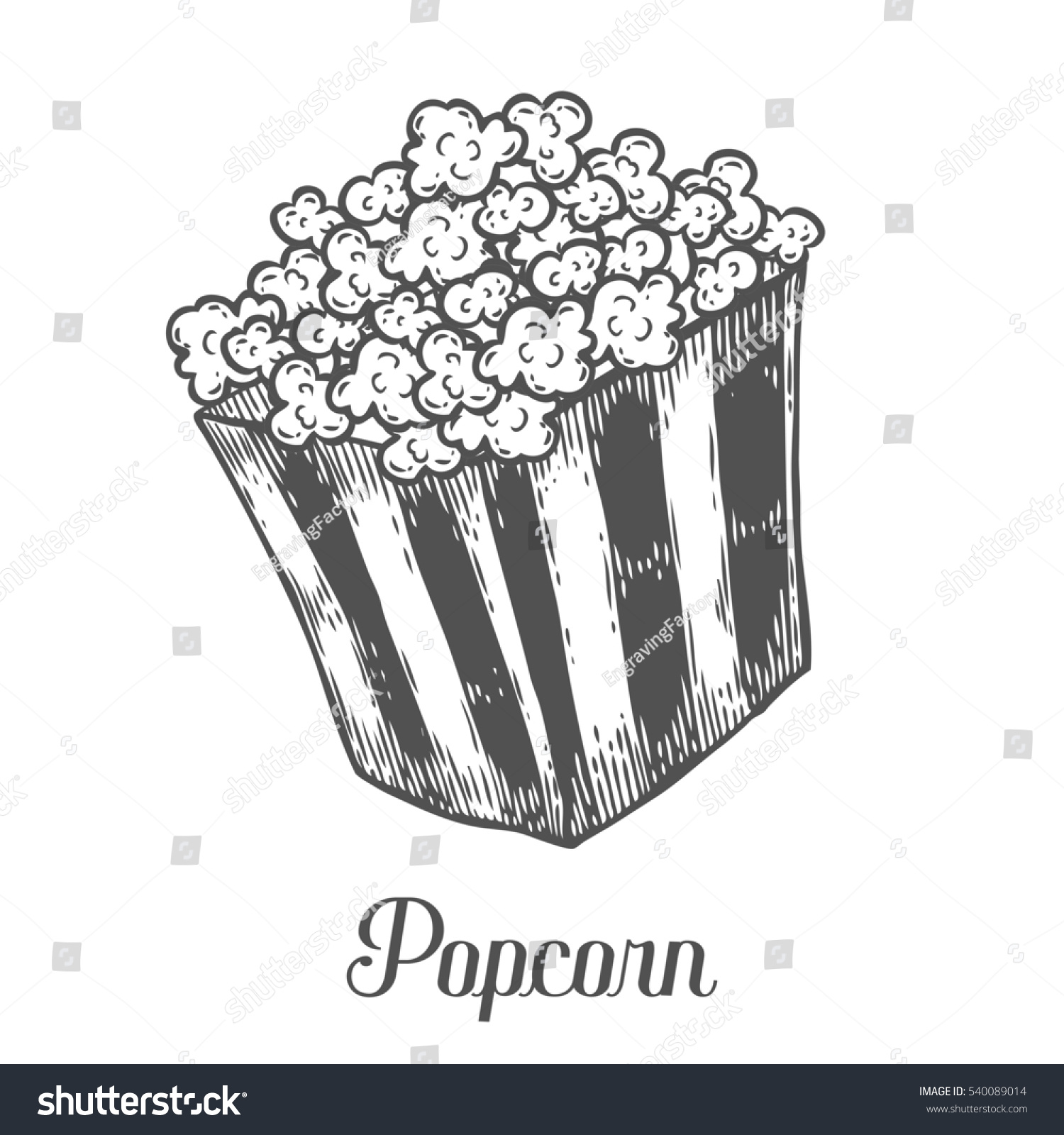  Popcorn Hand Drawn Sketch Illustration Popcorn Stock Illustration 