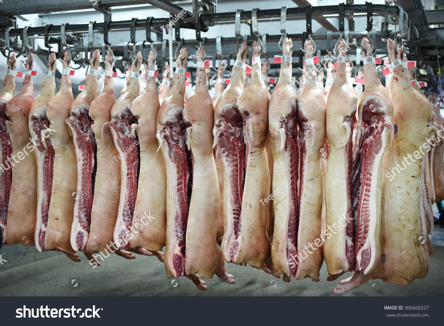 pork-cuts-carcass-james-everett