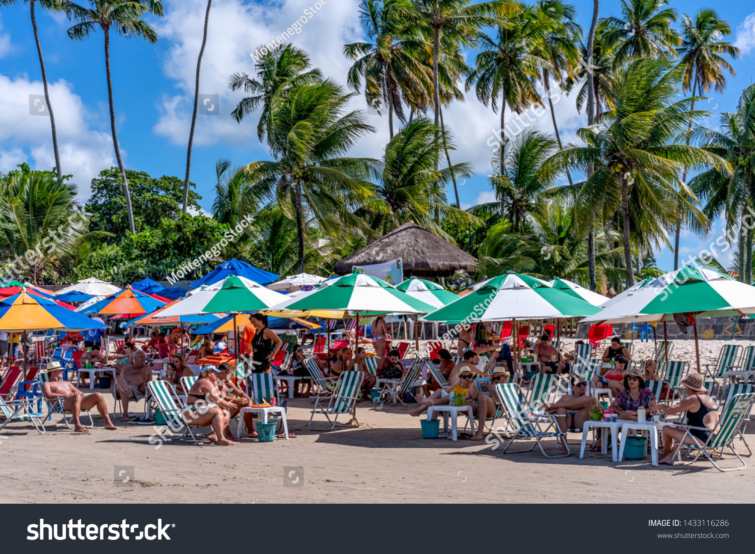 Ipojuca Pernambuco fonte: image.shutterstock.com Fonte: image.shutterstock.com