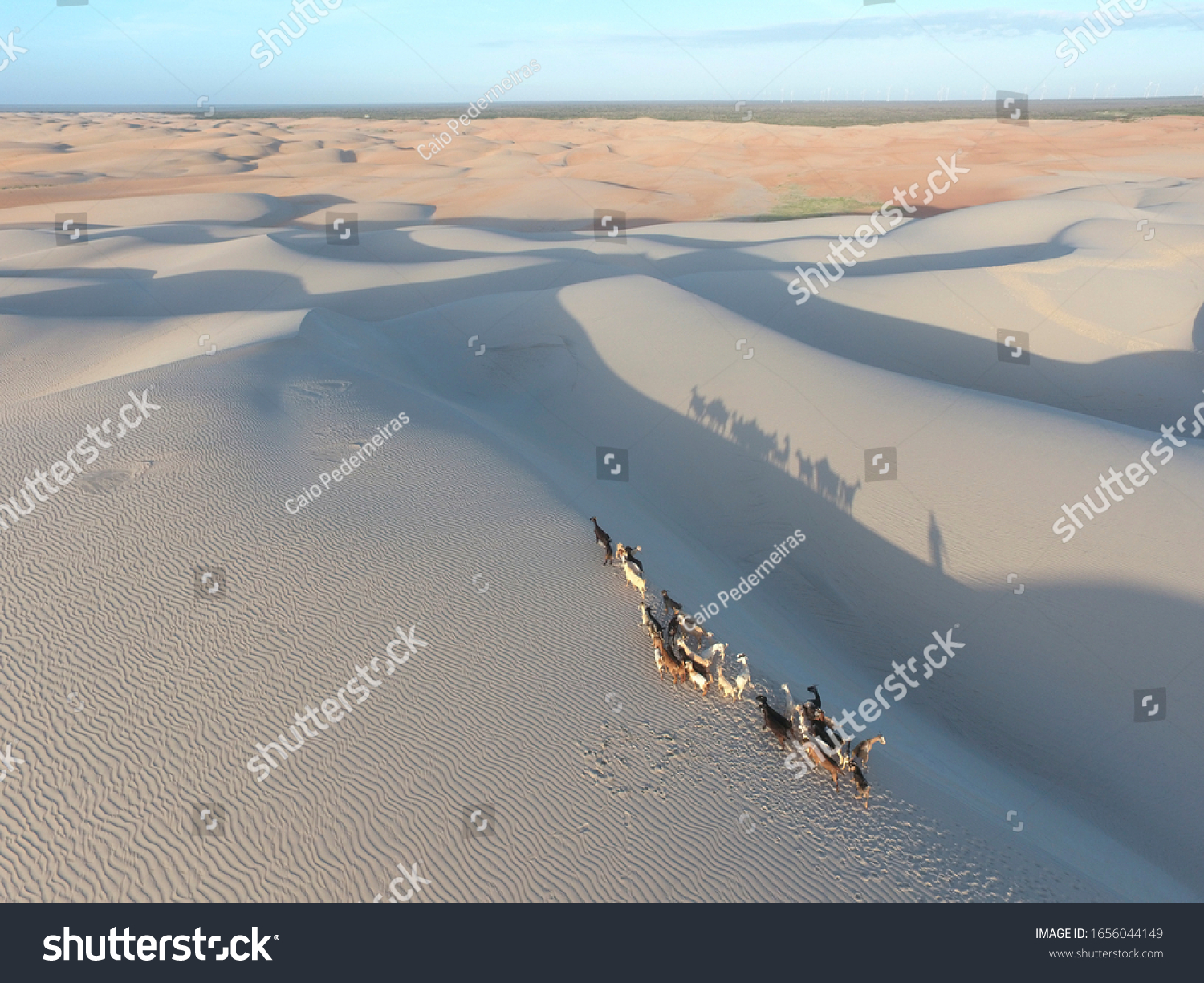 Porto do Mangue Rio Grande do Norte fonte: image.shutterstock.com