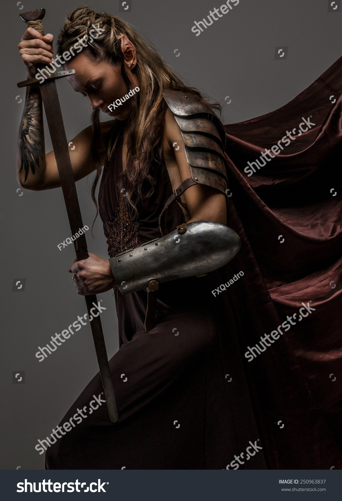 Portrai Mystic Elf Woman Sword Armor Stock Photo (Edit Now) 250963837 - Shutterstock