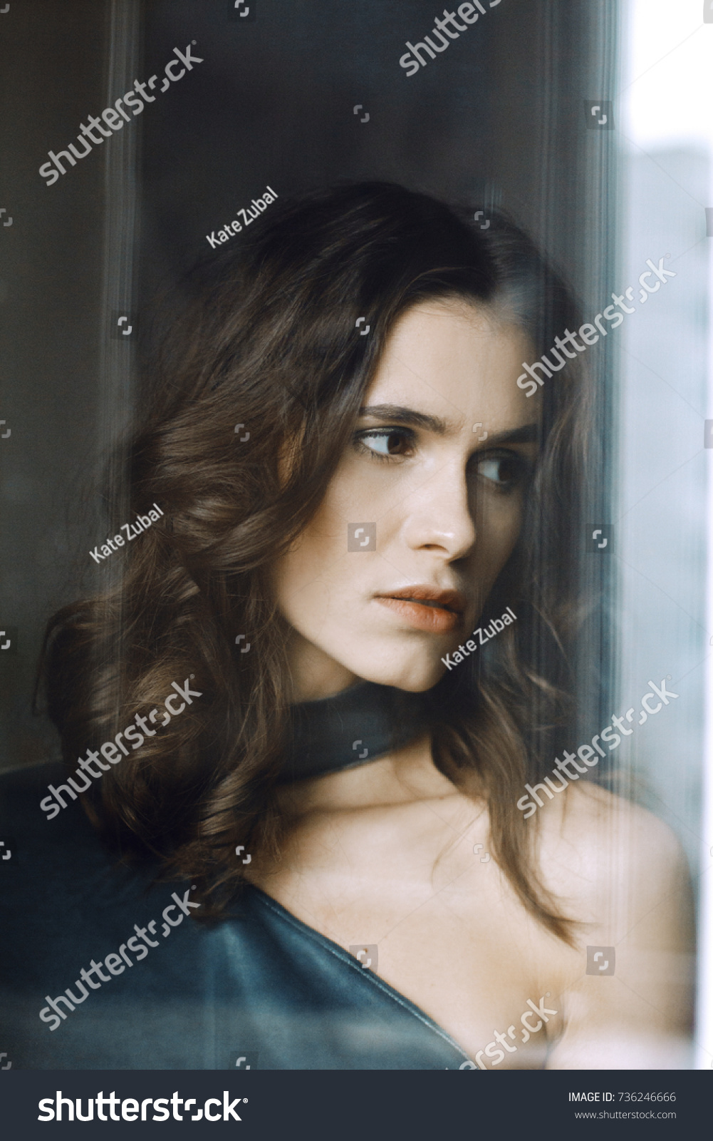Portrait Beautiful Woman She Has Dark Stock Image Download Now