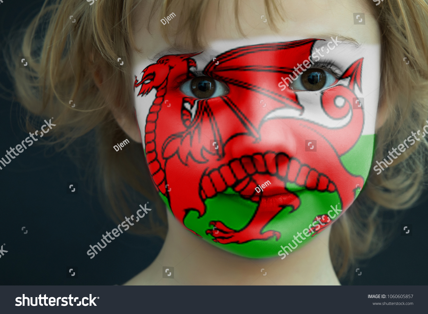 1008 Welsh Fan Gambar Foto Stok And Vektor Shutterstock 5771