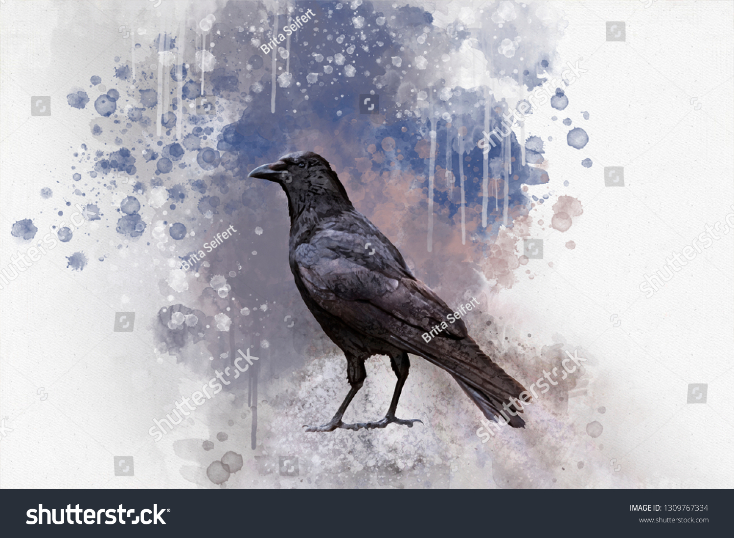 Portrait Crow Bird Watercolor Painting Bird Stock Illustration