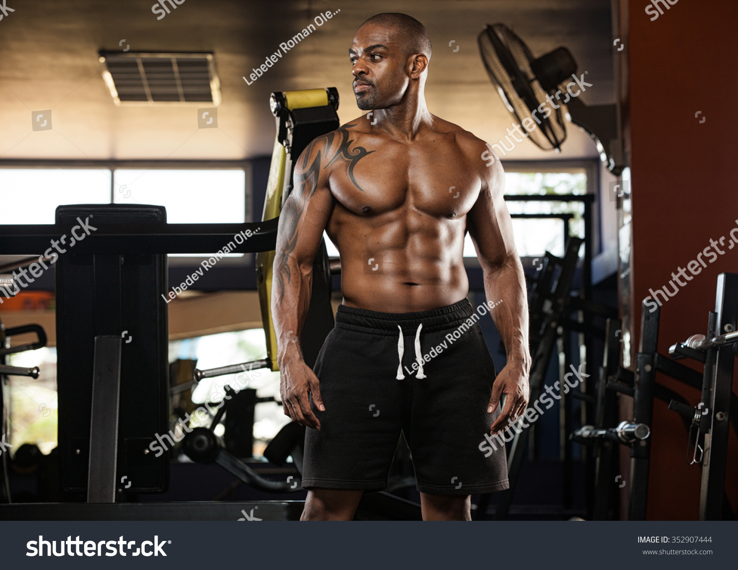 Portrait Handsome Muscular Bodybuilder Muscular Torso Foto De Stock Editar Ahora