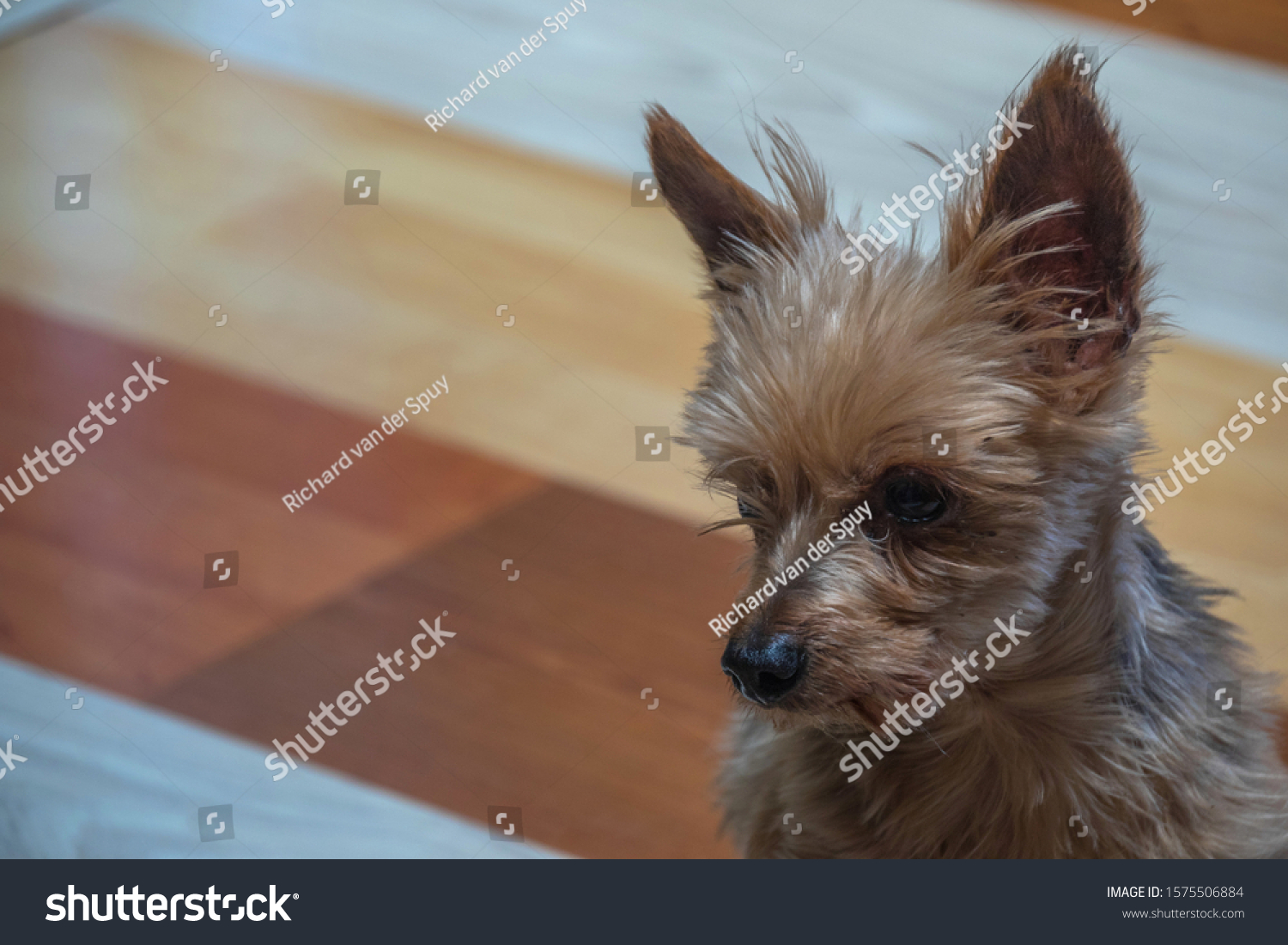 3 1000 Yard Stare Images Stock Photos And Vectors Shutterstock