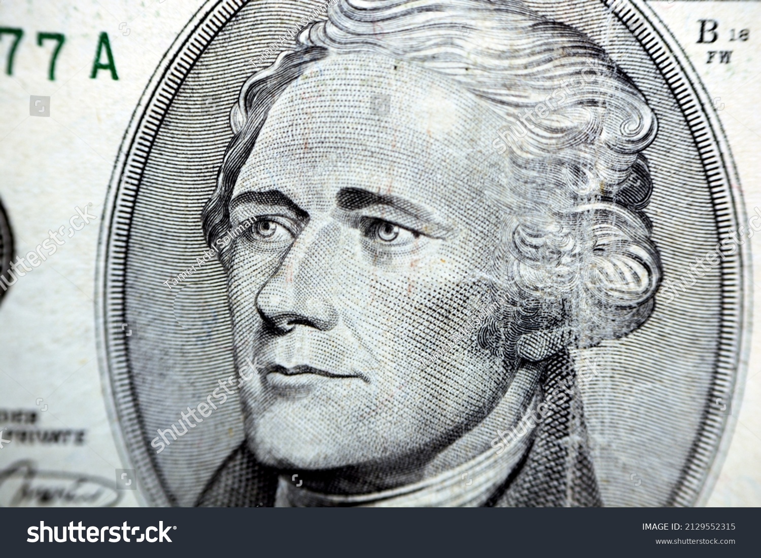 Portrait Alexander Hamilton Founding Father United Stock Photo ...