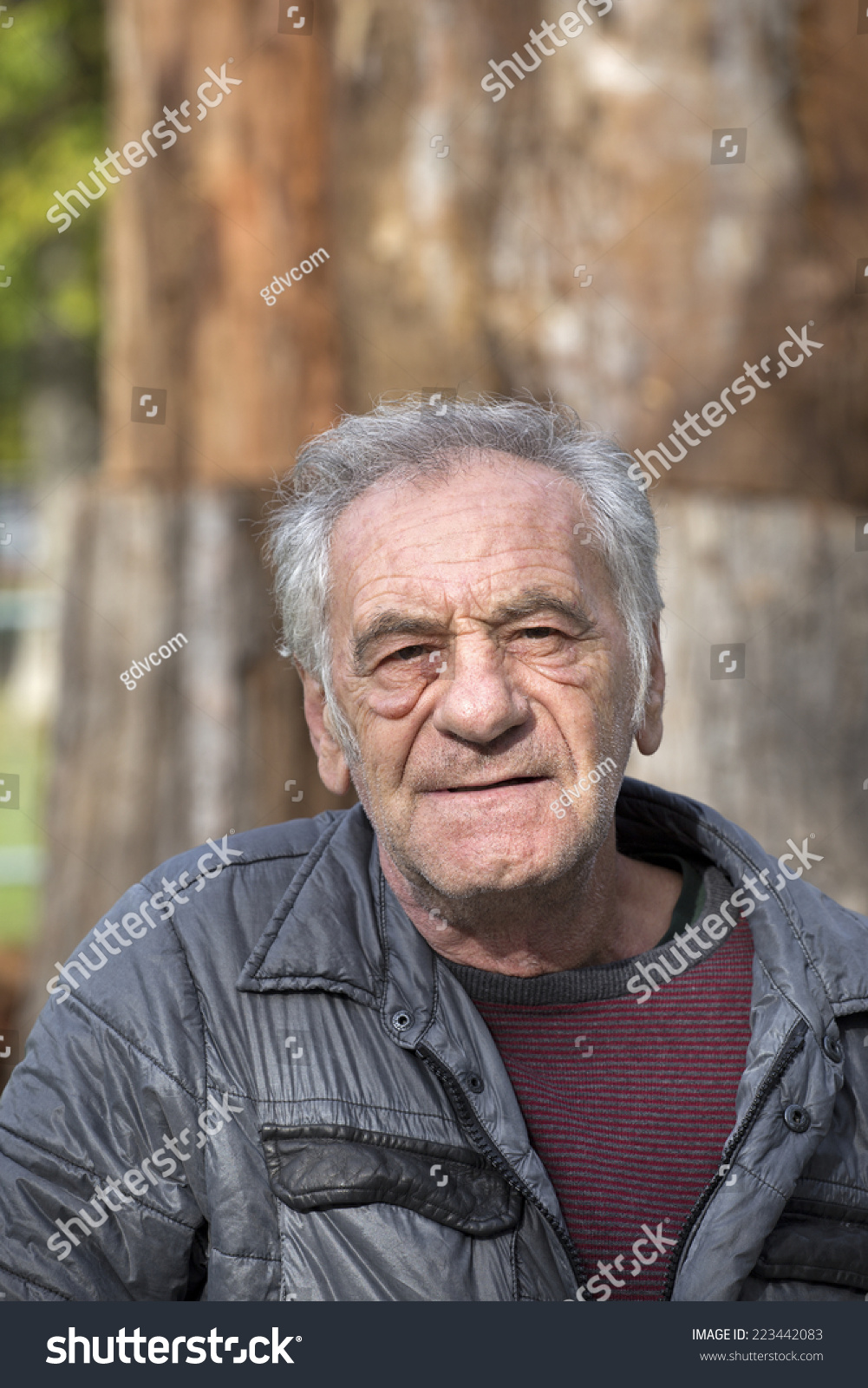 Portrait Handsome Old Italian Man Stock Photo 223442083 Shutterstock