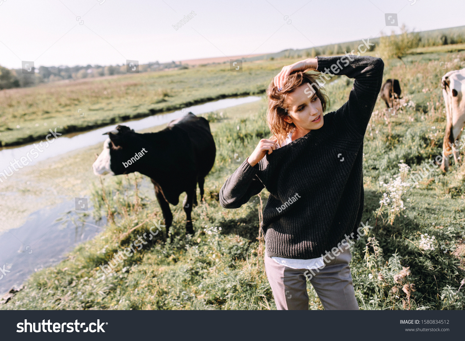 cow in field sweater