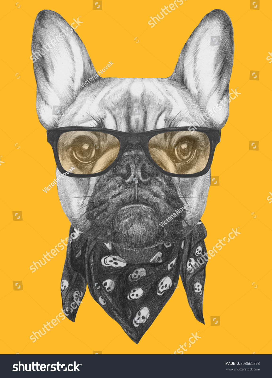 Portrait French Bulldog Glasses Scarf Hand Stock Illustration 308665898 ...