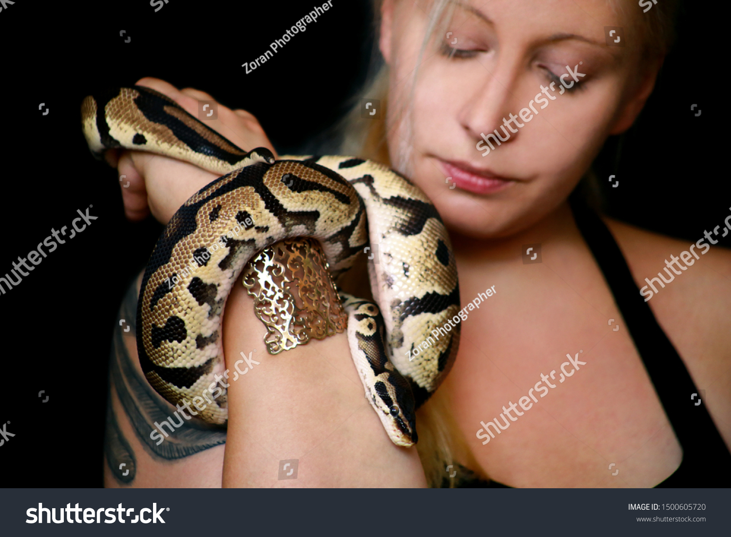 Portrait Girl Royal Python Snake Woman Stock Photo Edit Now