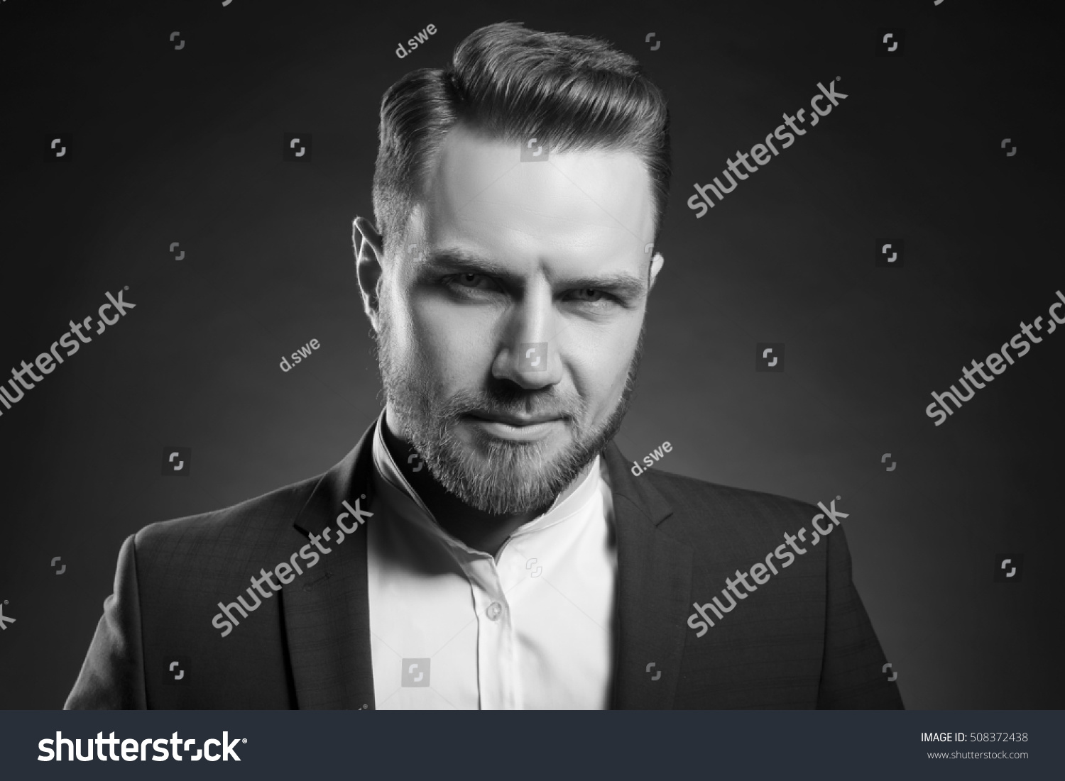 Portrait Handsome Stylish Caucasian Bearded Young Stock Photo 508372438 ...