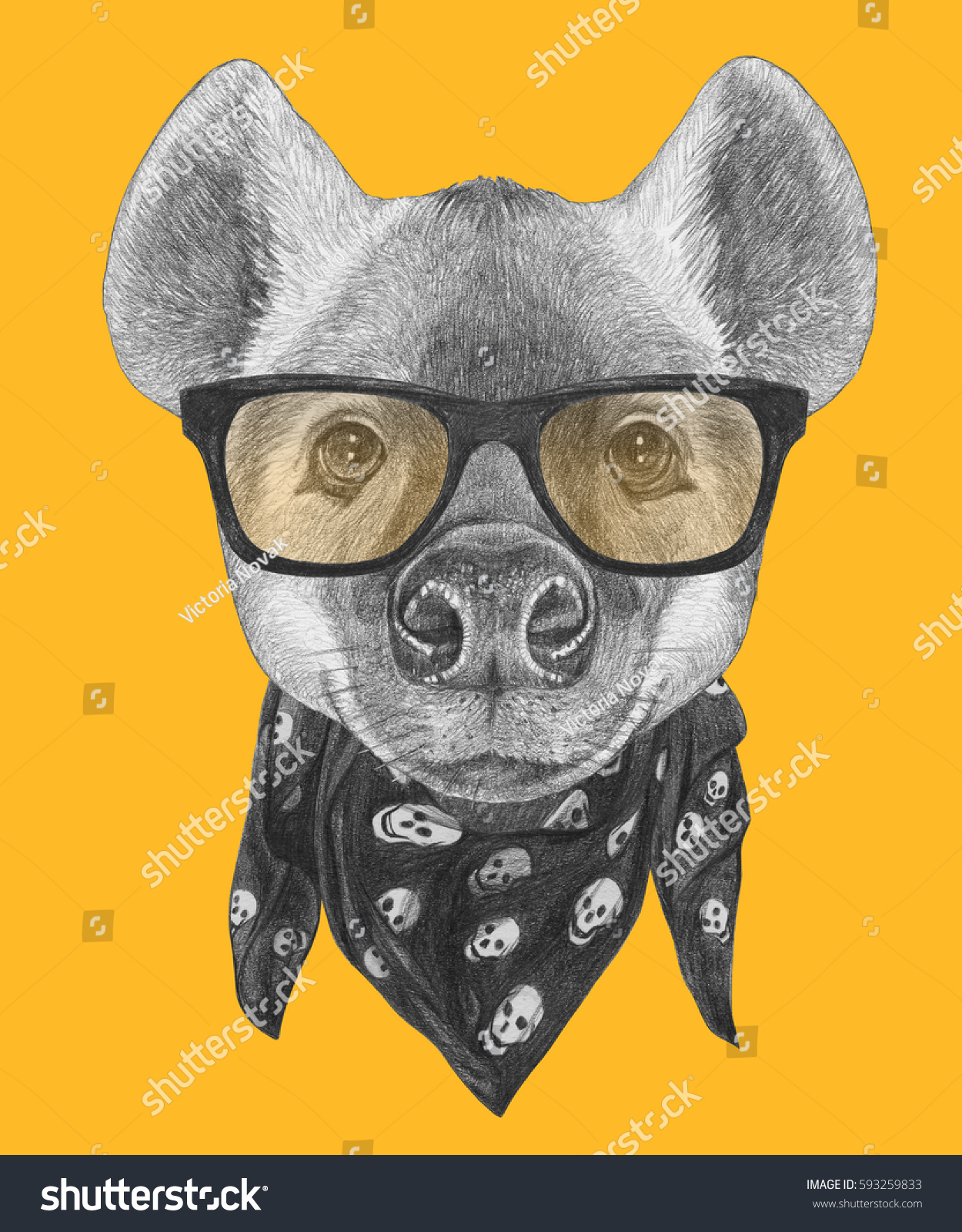 Portrait Hyena Sunglasses Scarf Handdrawn Illustration Stock ...