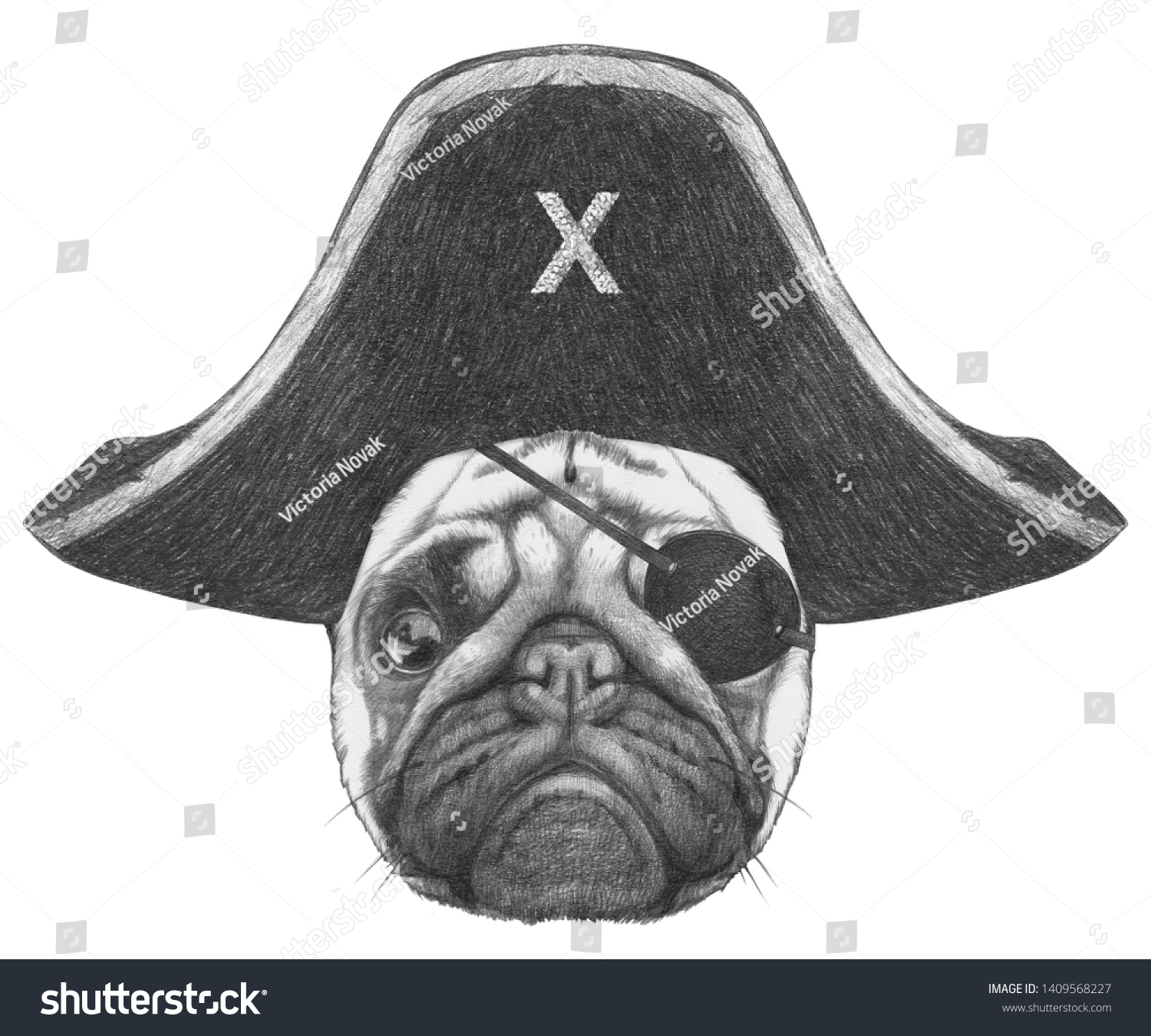 pug with eye patch