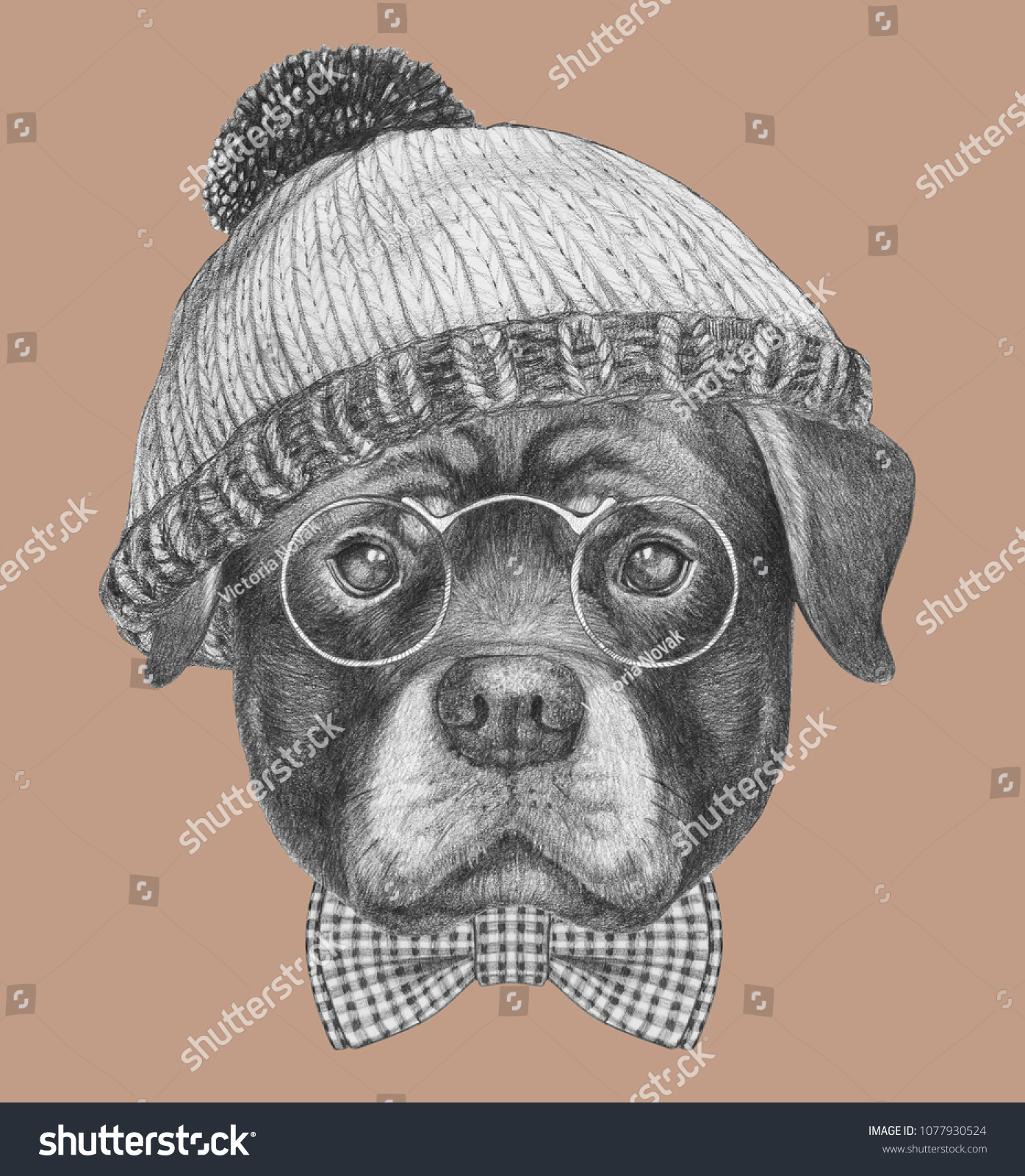 Portrait Rottweiler Had Bow Tie Handdrawn Stock Illustration 1077930524 ...