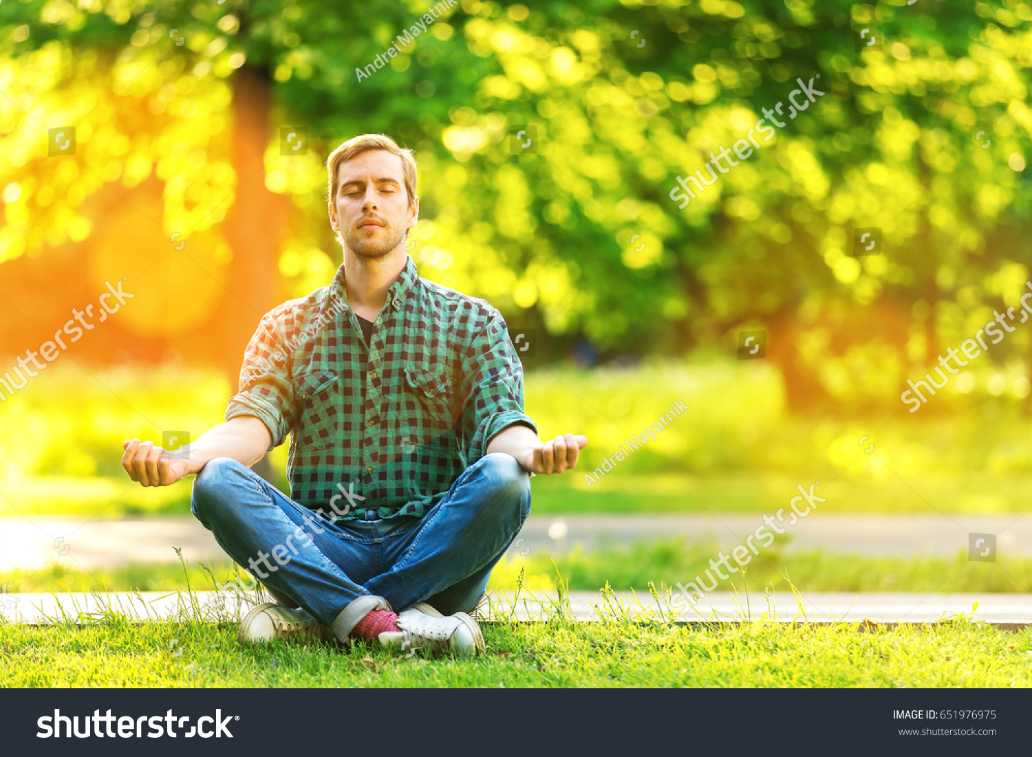 Portrait Serene Meditating Man Beard Park Stock Photo 651976975 ...