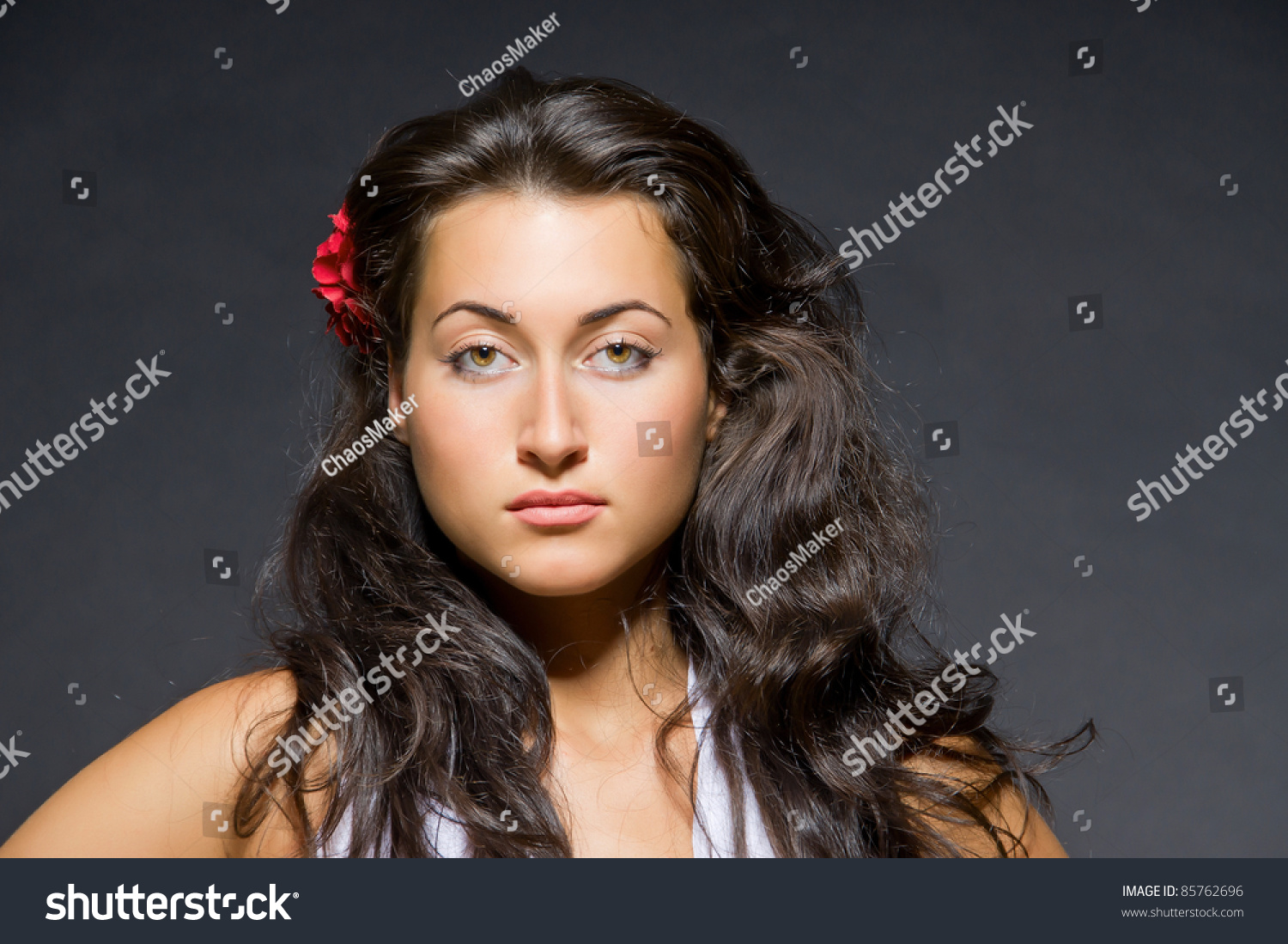 Portrait Young Dark Haired Beautiful Woman Stock Photo 12 ...