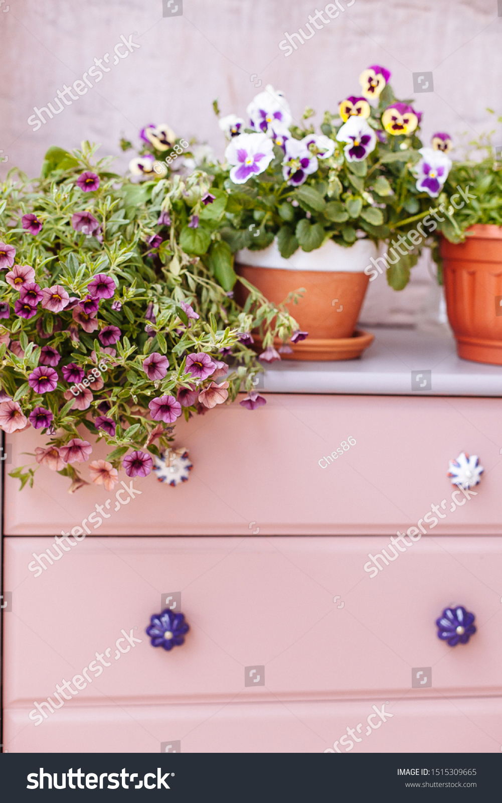 Pots Flowers On Pink Dresser Bright Stock Photo Edit Now 1515309665