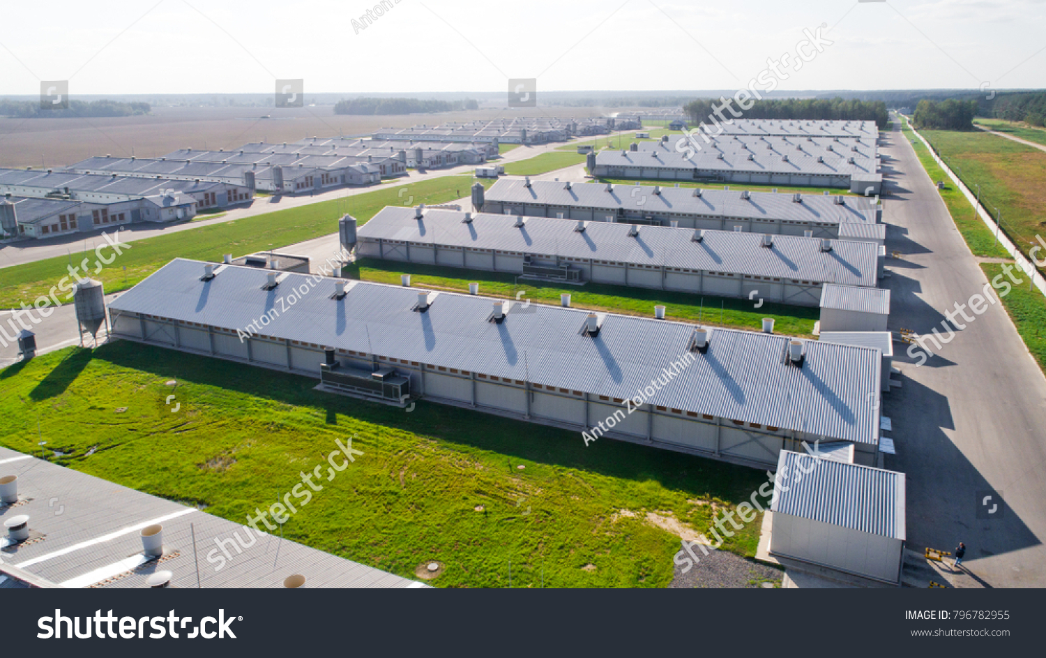 26 344 Poultry House Stock Photos Images Photography Shutterstock   Stock Photo Poultry Farm Industrial 796782955 