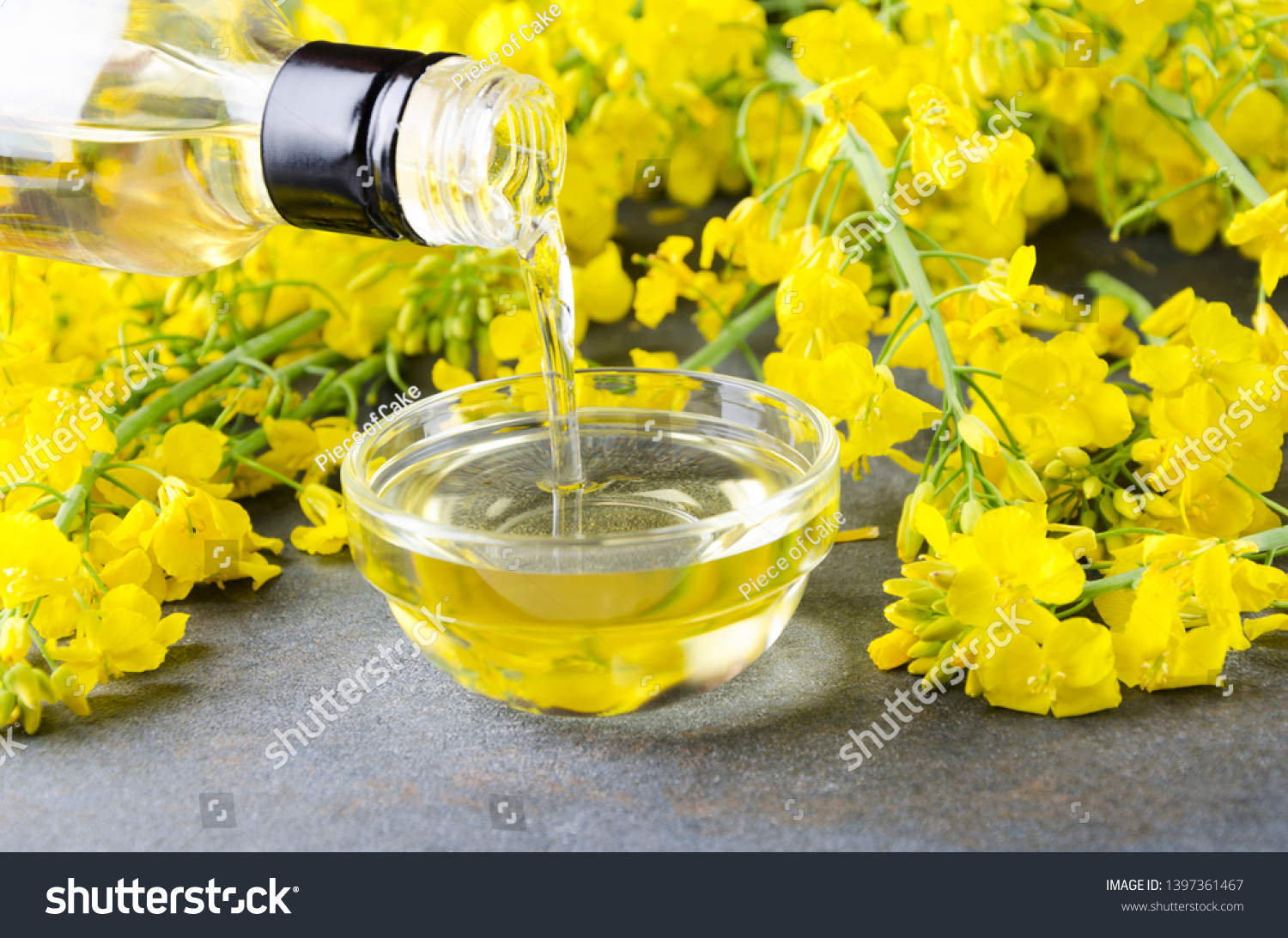 canola-oil-shutterstock