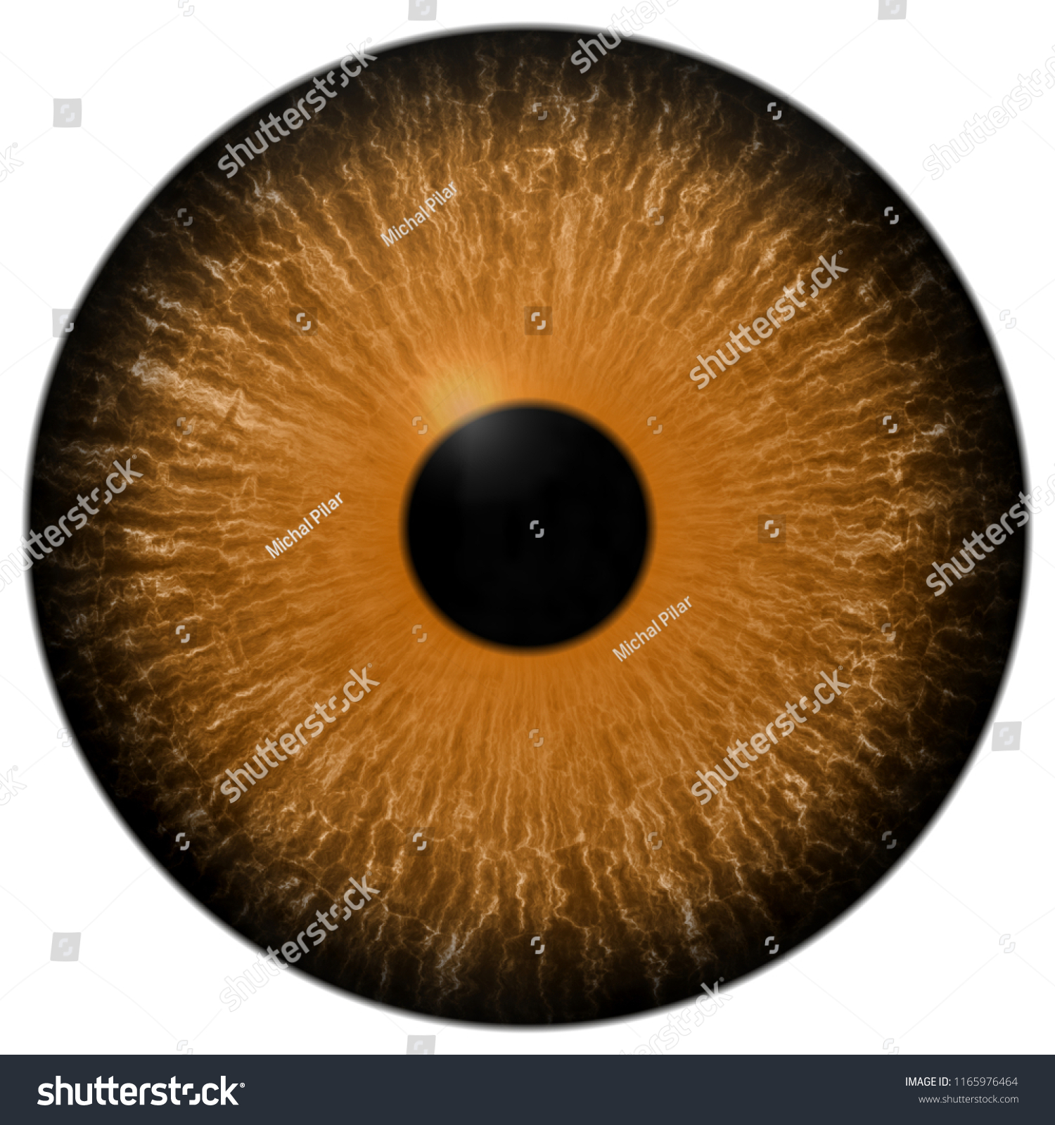 Predator Eye Texture Orange Eyeball White Stock Illustration