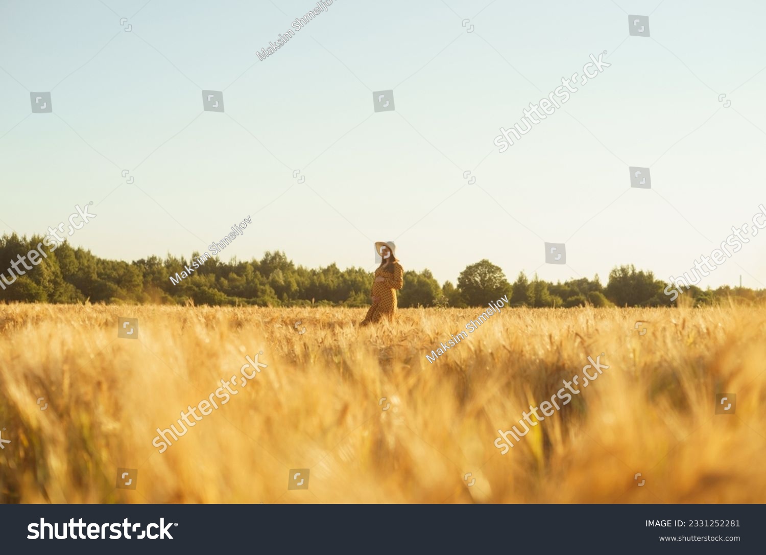  Sky Blue Resting Curve Template Design Featuring Pregnant Woman in the Rays