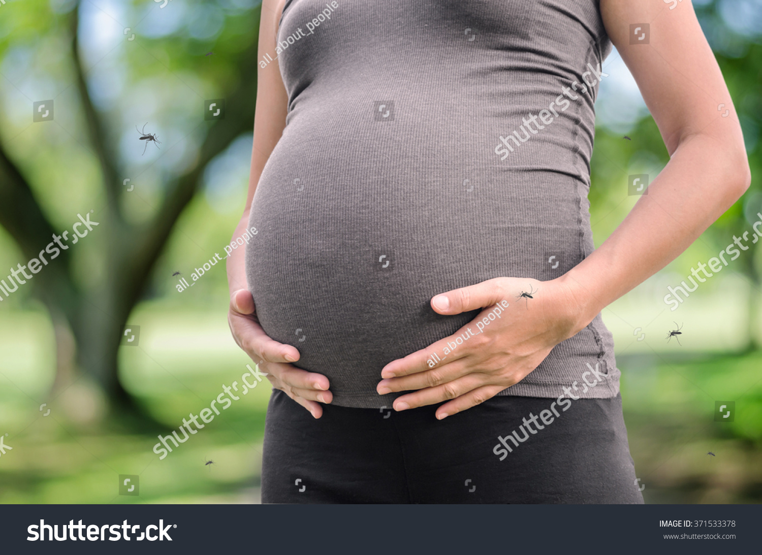 1 545 Pregnant Mosquito Images Stock Photos Vectors Shutterstock   Stock Photo Pregnant Woman Standing In Garden With Mosquitoe Bite And Many Mosquitoes Flying Around Cause Of 371533378 