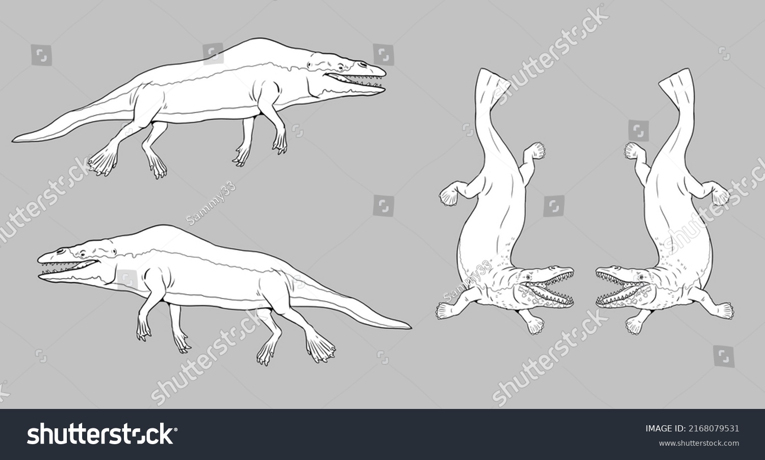 Prehistoric Extinct Genus Ancient Whale Rodhocetus Stock Illustration ...