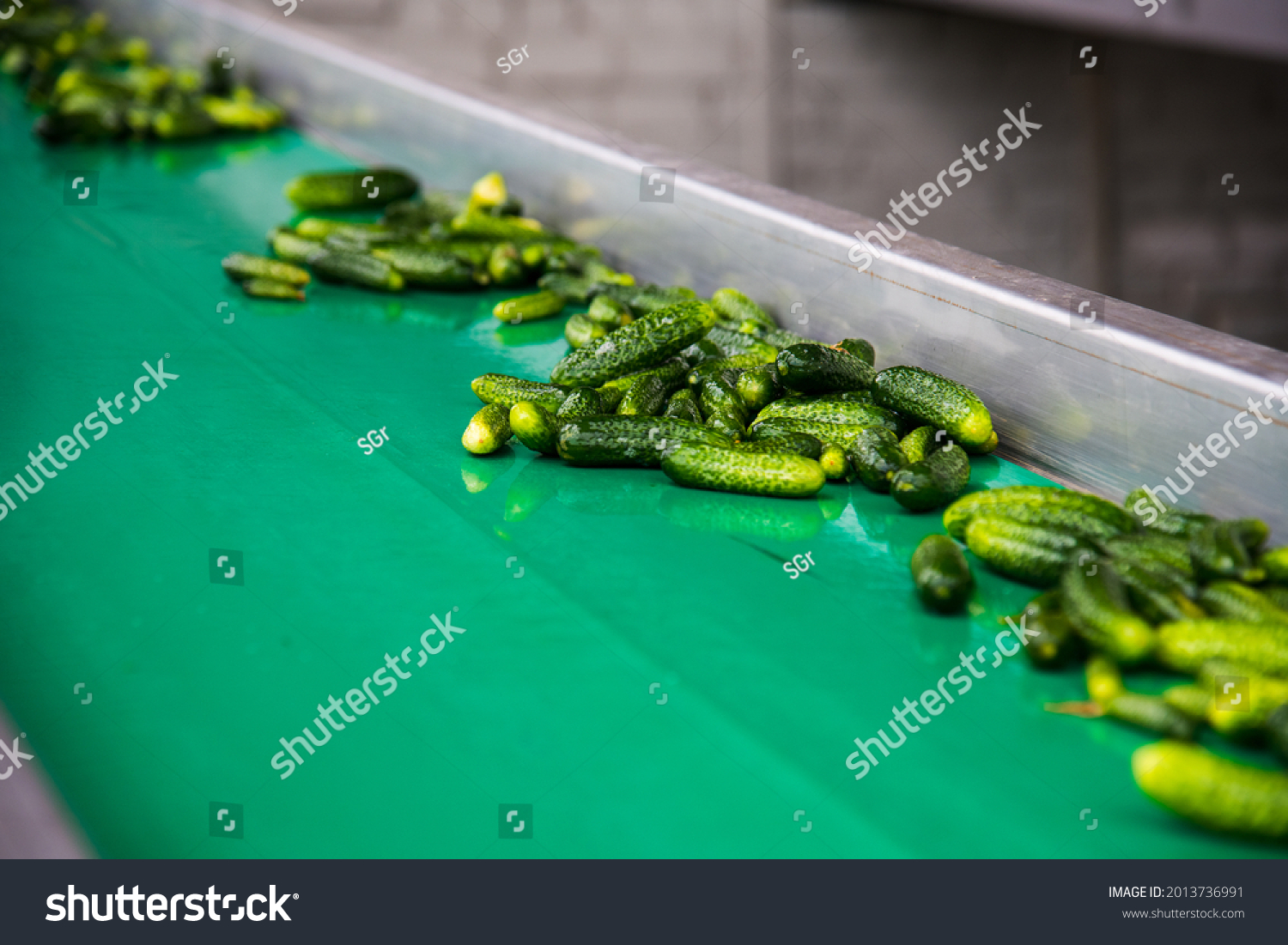 529 Pickles Factory Images Stock Photos Vectors Shutterstock 529 Pickles Factory Images Stock Photos Vectors Shutterstock